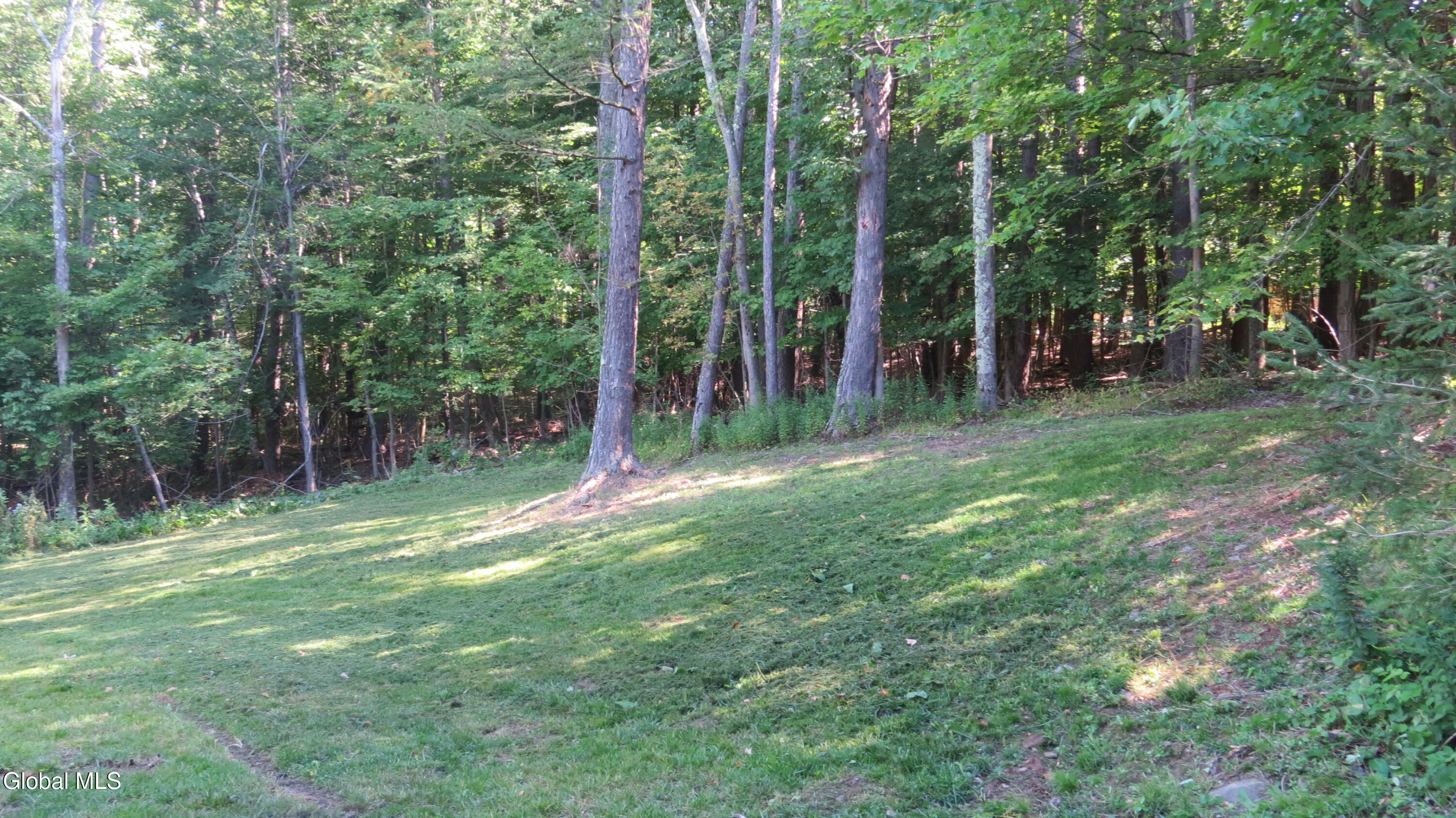 816 Hubbard Road Gilboa NY 12076