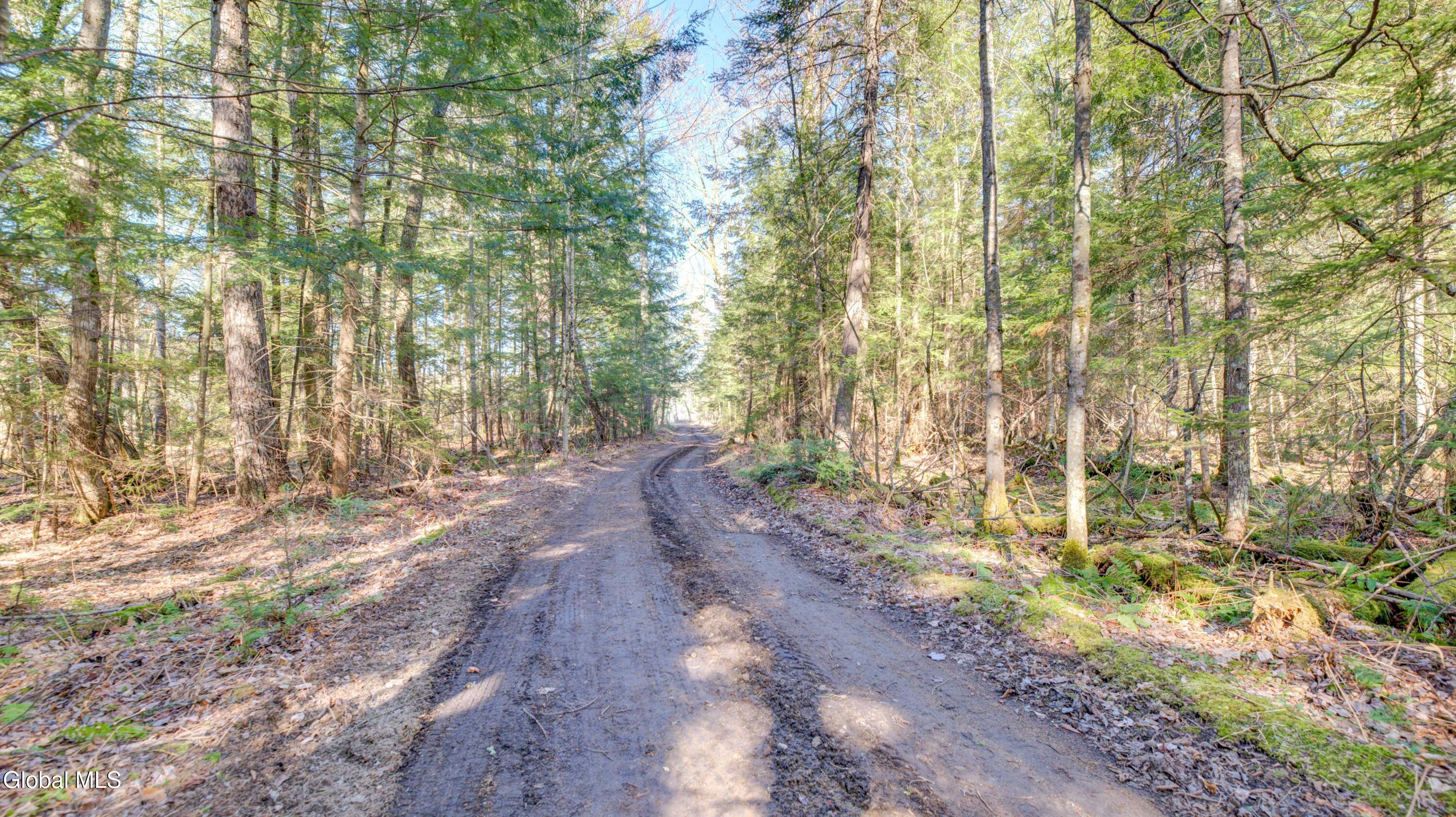 106 Howards Lane Lake Pleasant NY 12108