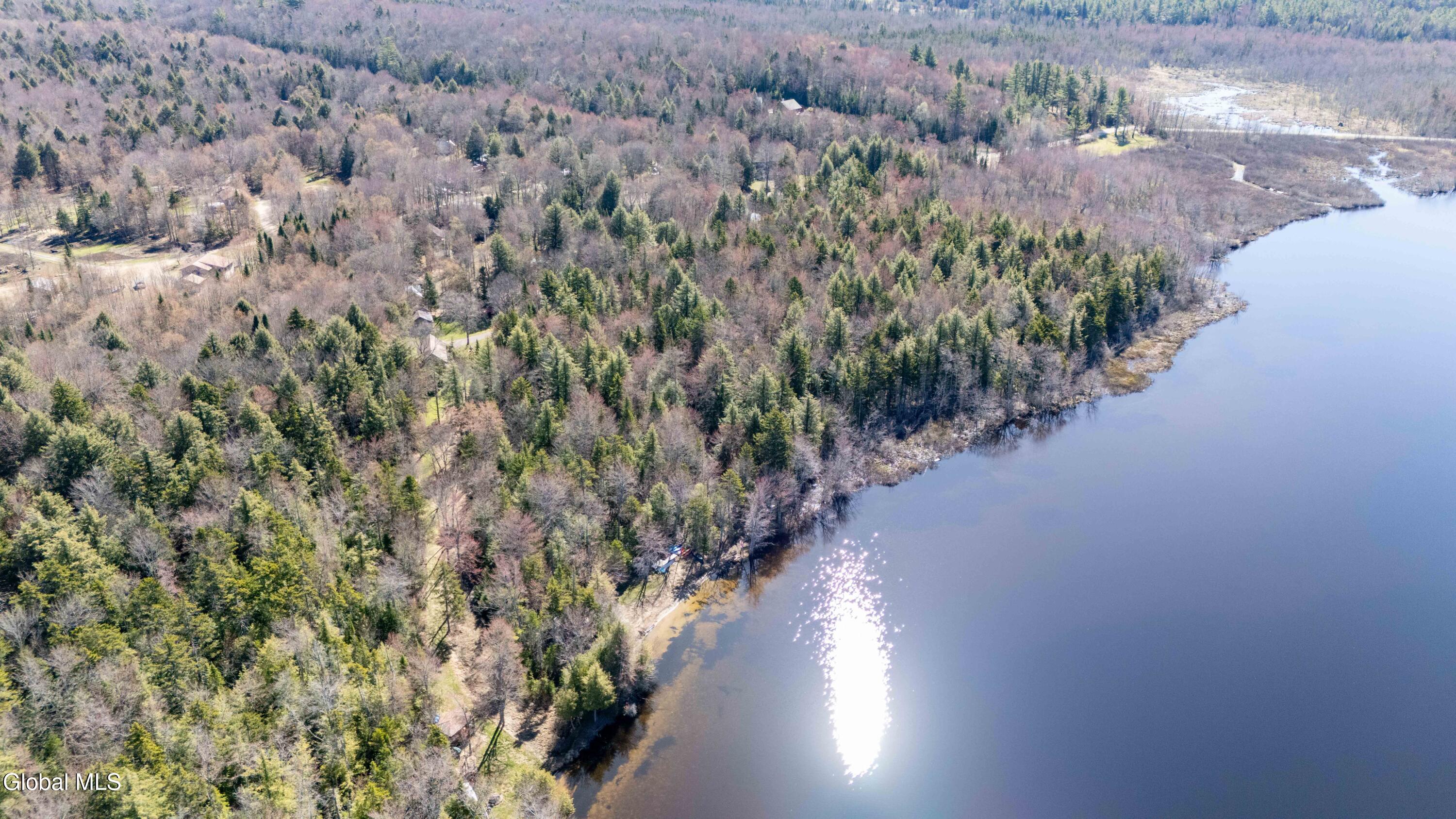 106 Howards Lane Lake Pleasant NY 12108