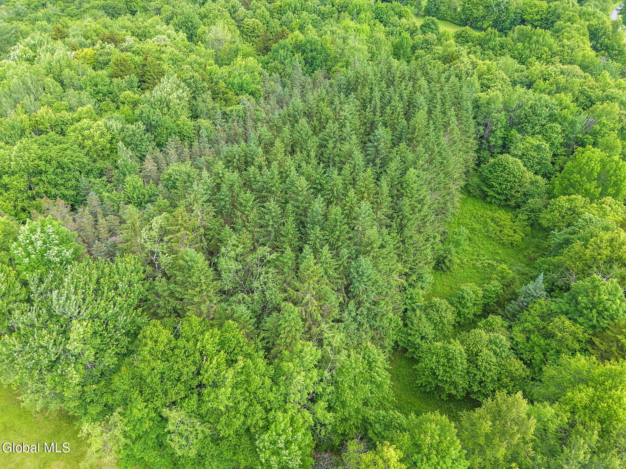 615 Arabia Road Summit NY 12093