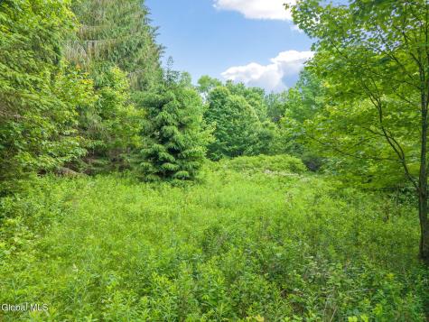 615 Arabia Road Summit NY 12093