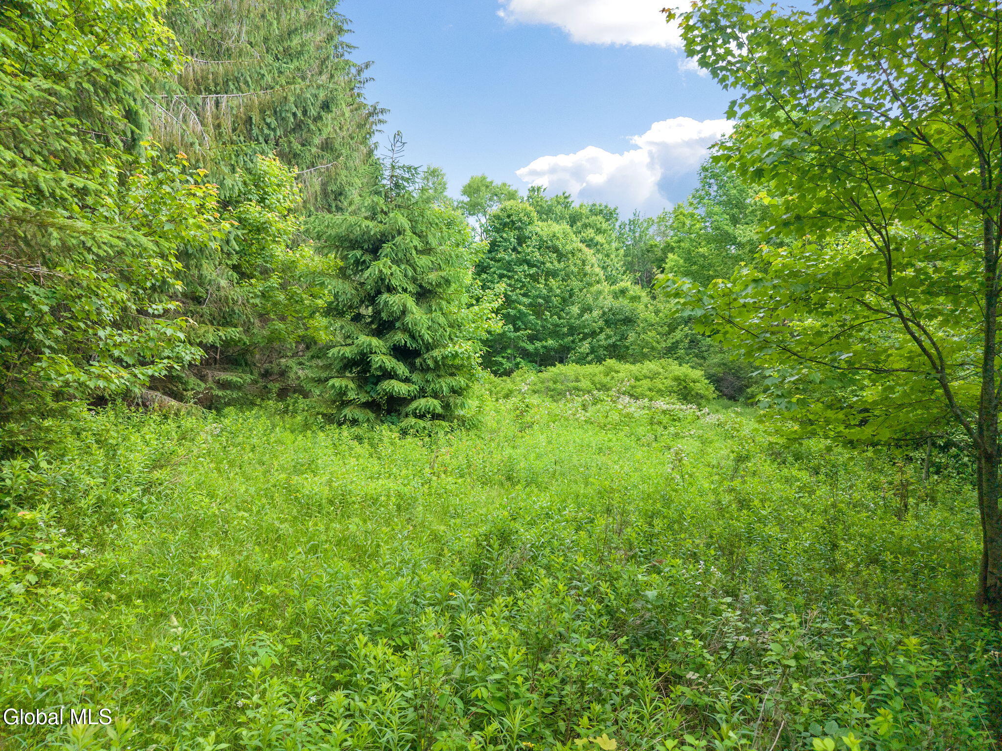615 Arabia Road Summit NY 12093