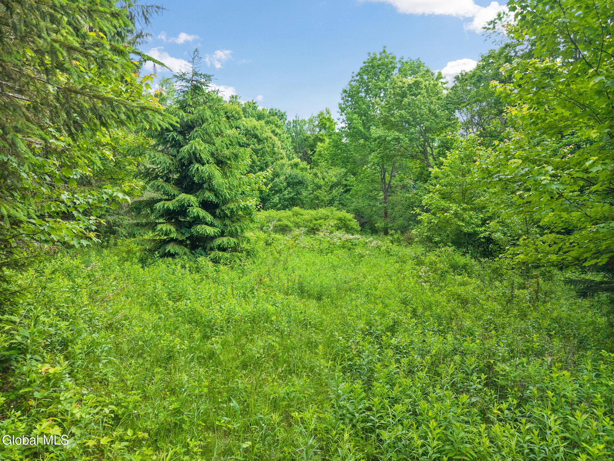 615 Arabia Road Summit NY 12093