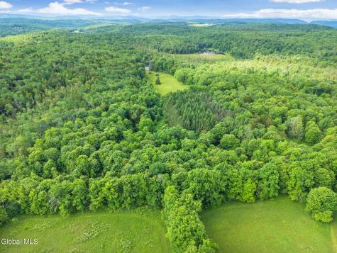 615 Arabia Road Summit NY 12093