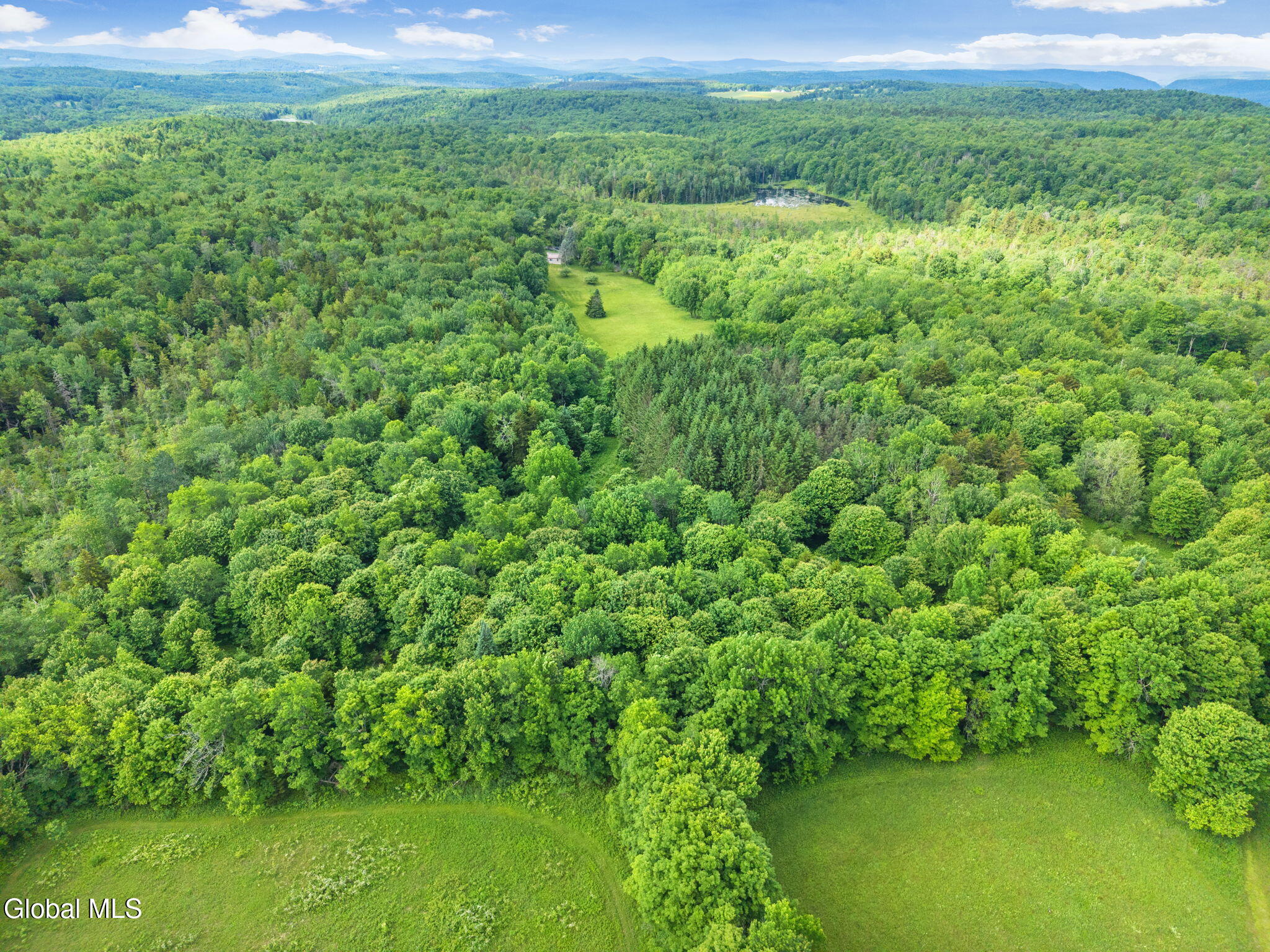 615 Arabia Road Summit NY 12093