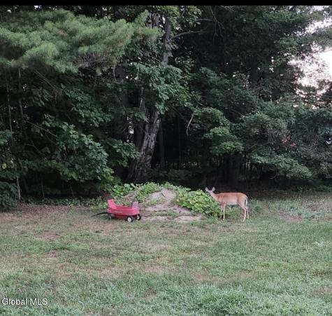 114 Woodland Avenue Gloversville NY 12078