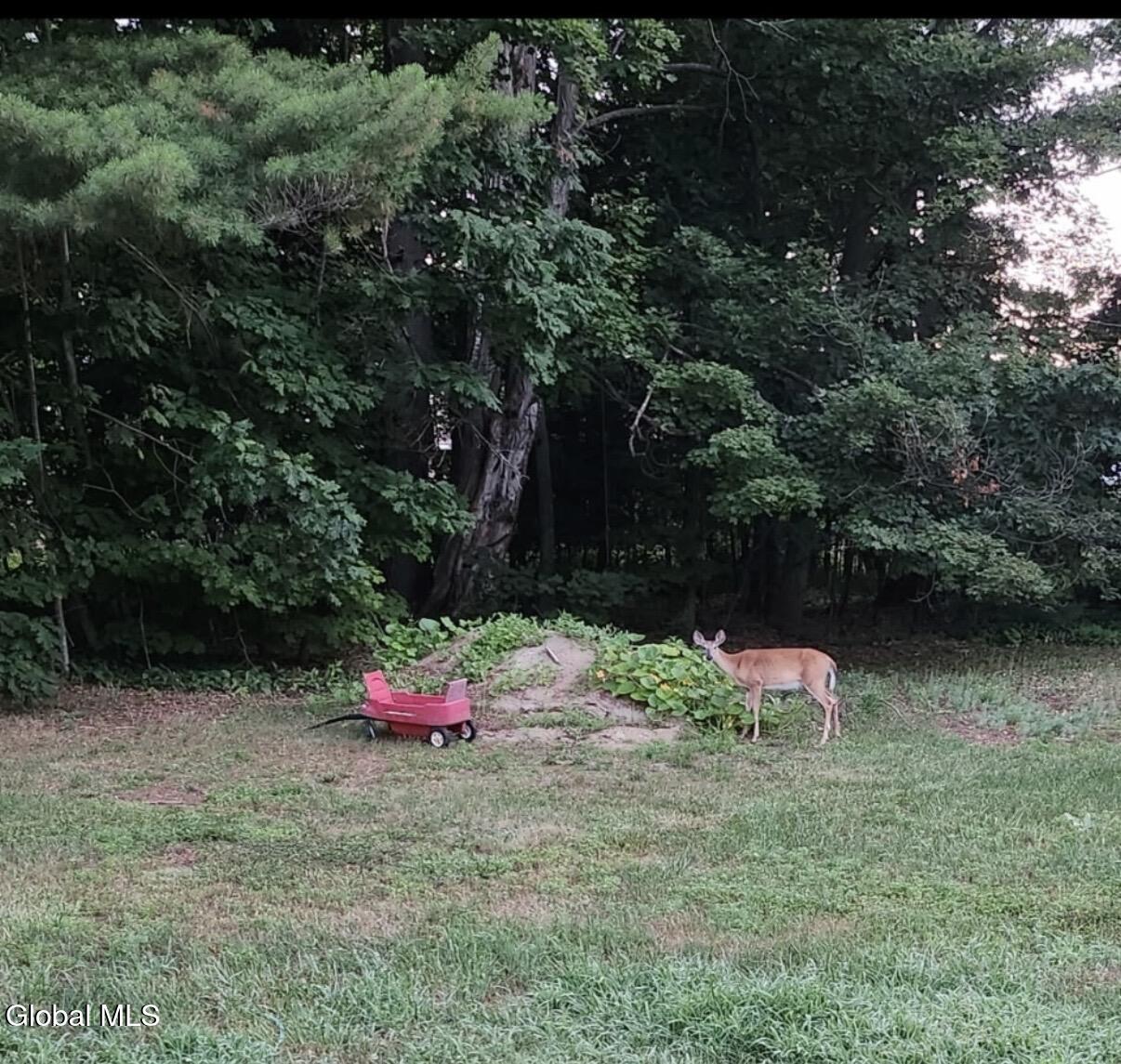 114 Woodland Avenue Gloversville NY 12078