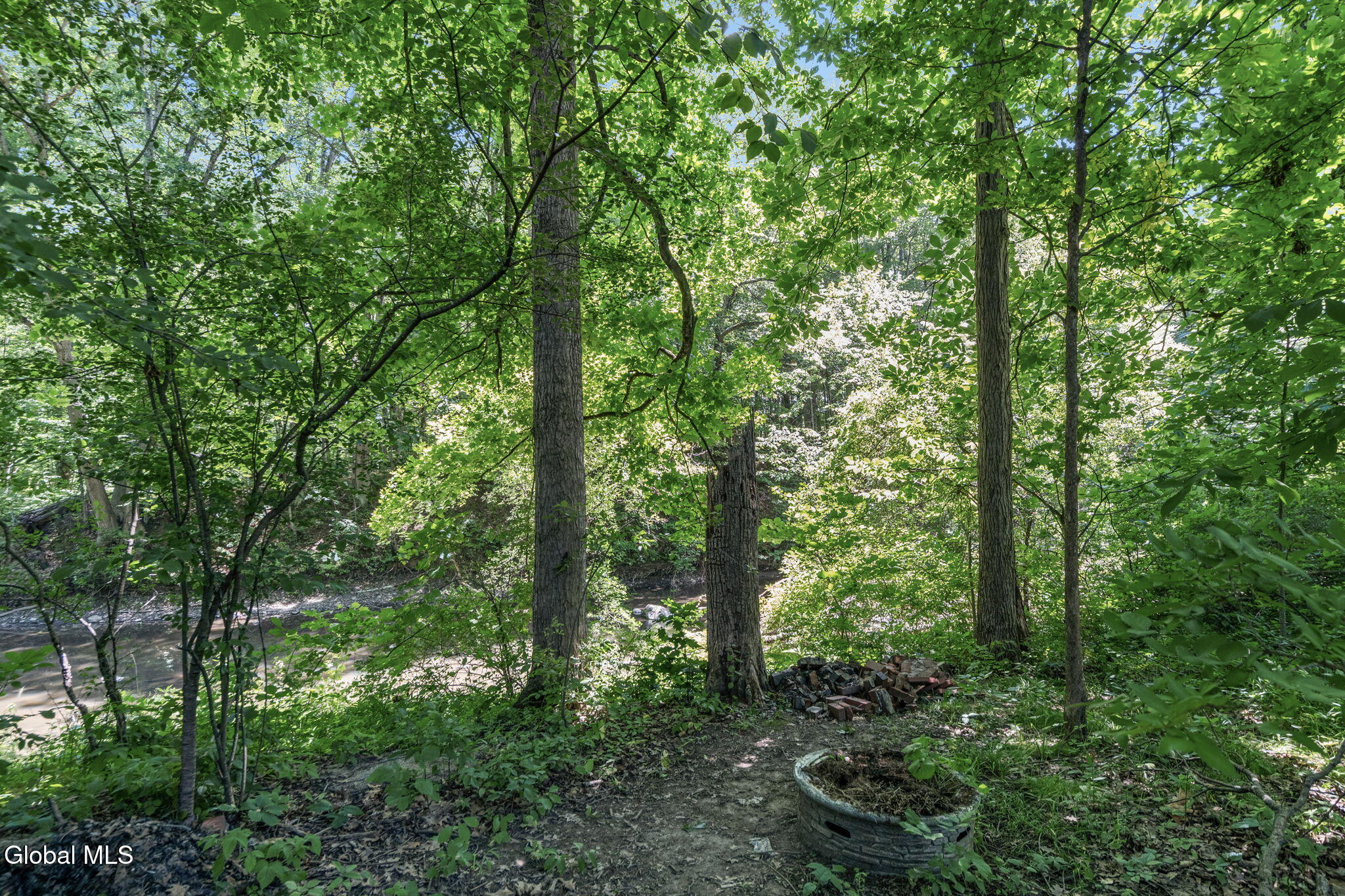 29 Yolanda Drive Glenville NY 12027