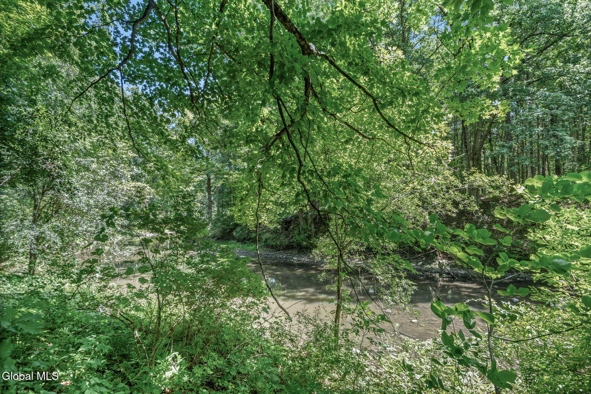 29 Yolanda Drive Glenville NY 12027