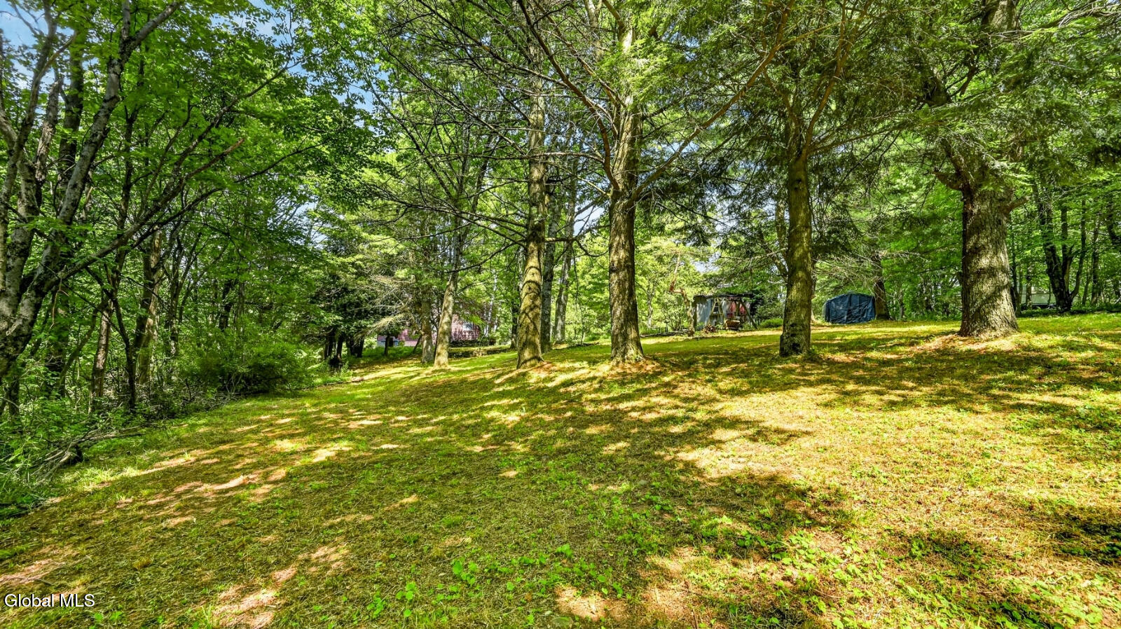 1083 S America Road Worcester NY 12197