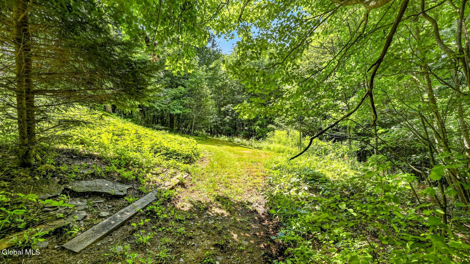 1083 S America Road Worcester NY 12197
