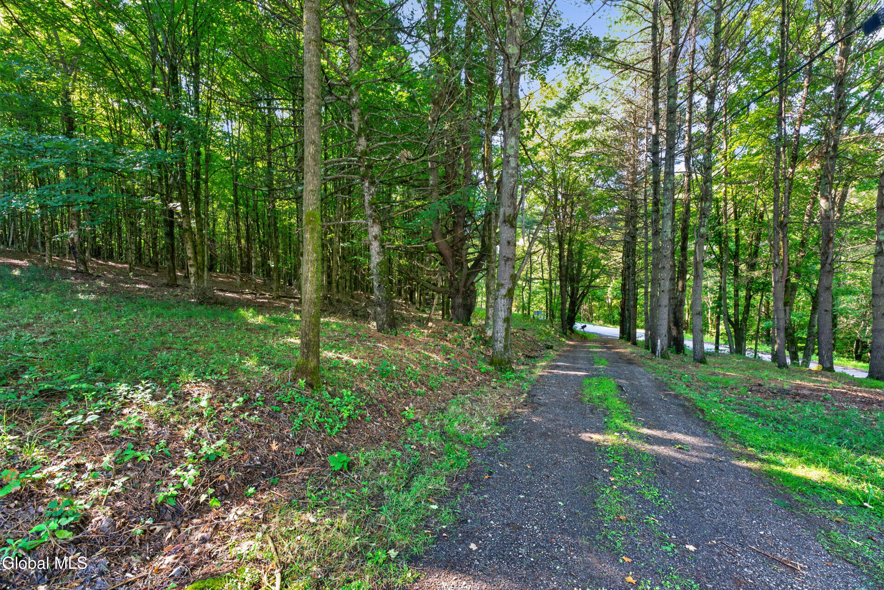 522 Konchar Road Maryland NY 12116