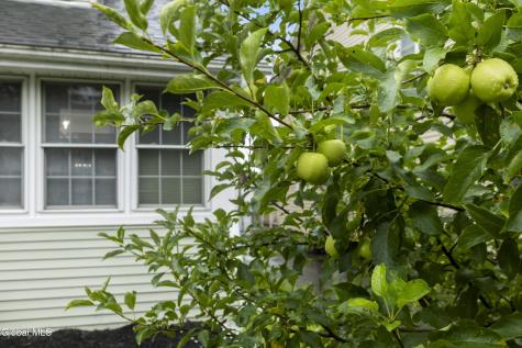 4 Maplewood Avenue Colonie NY 12205