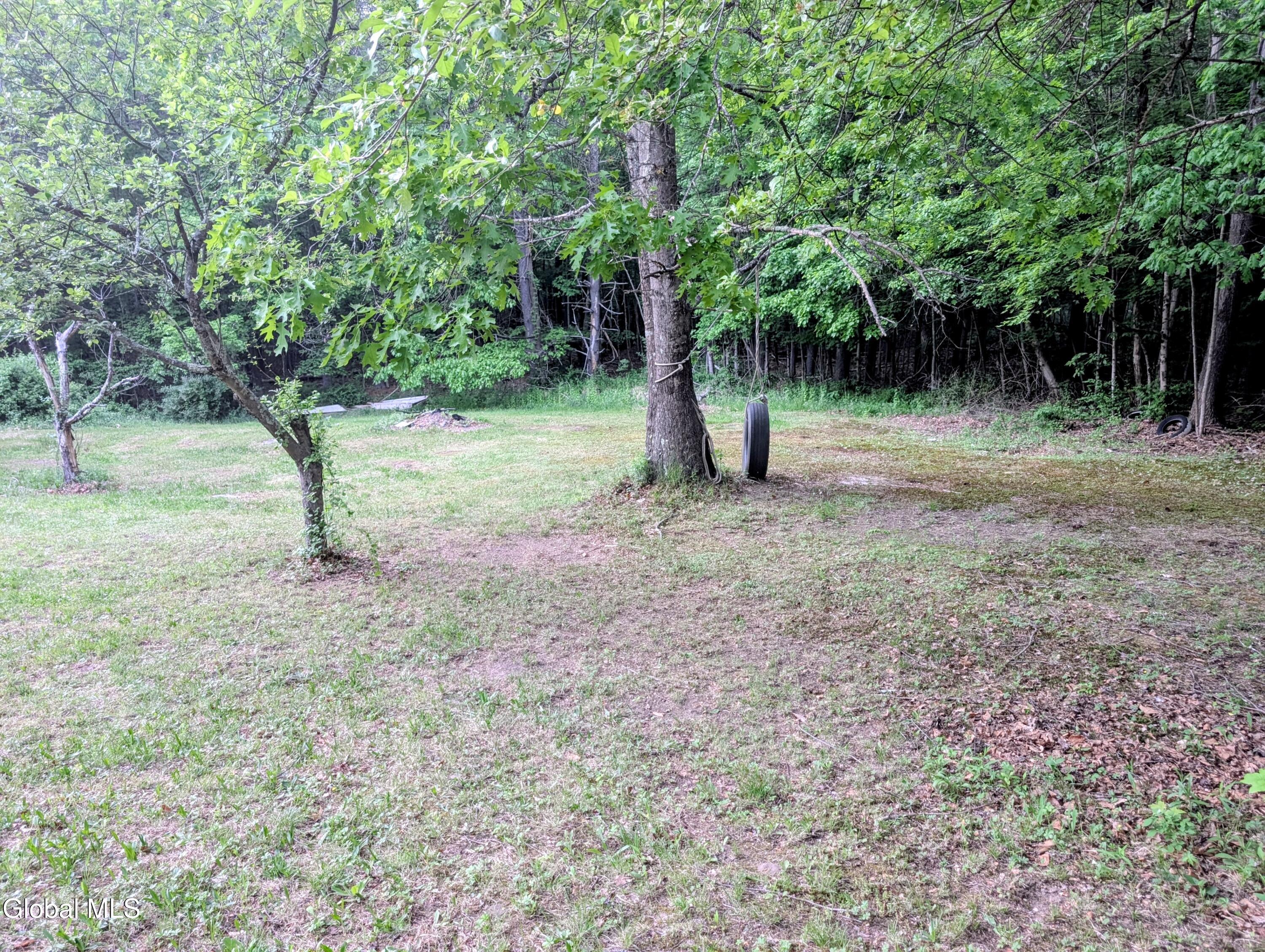 98 Primrose Lane Earlton NY 12058