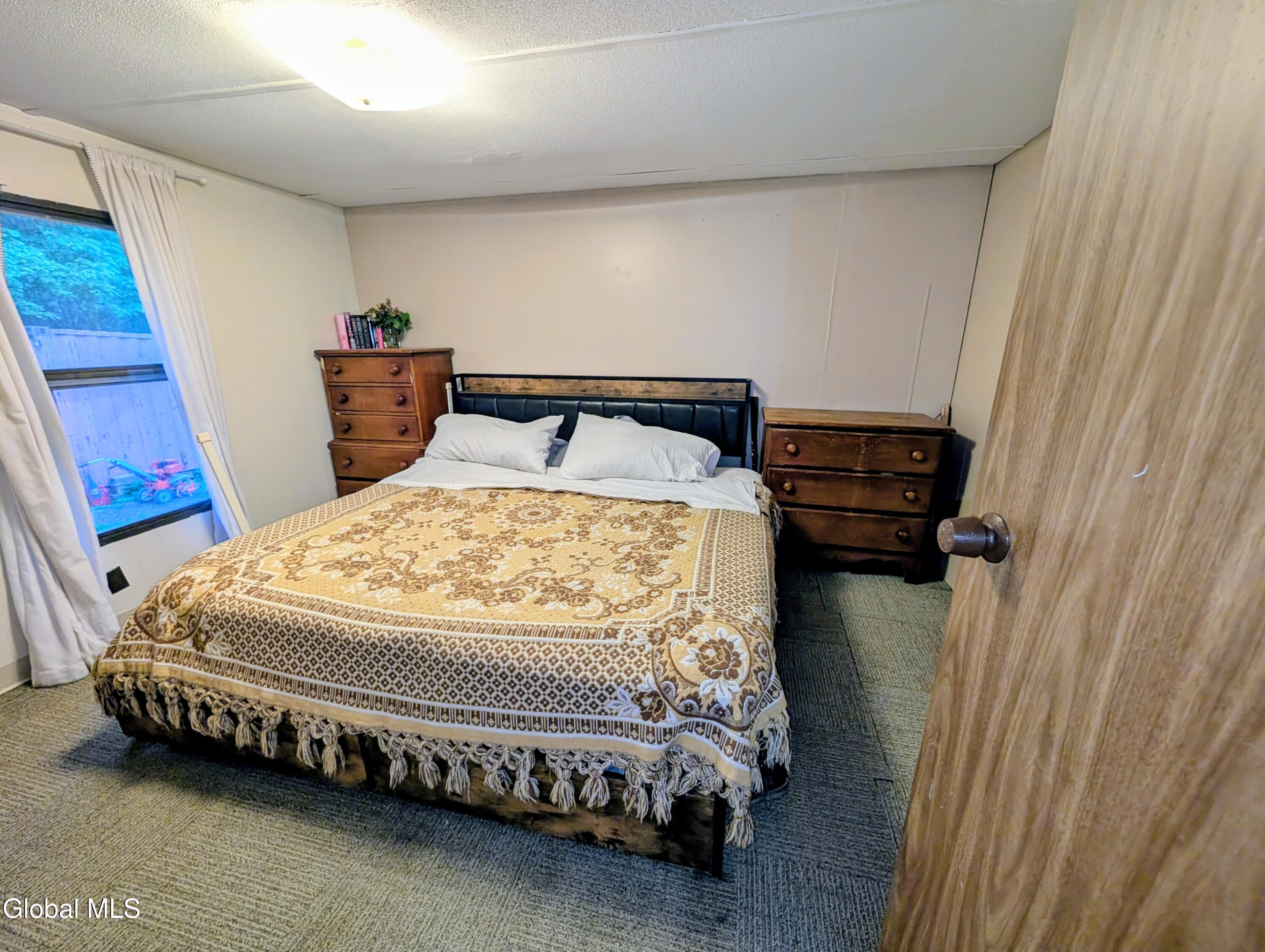 98 Primrose Lane Earlton NY 12058