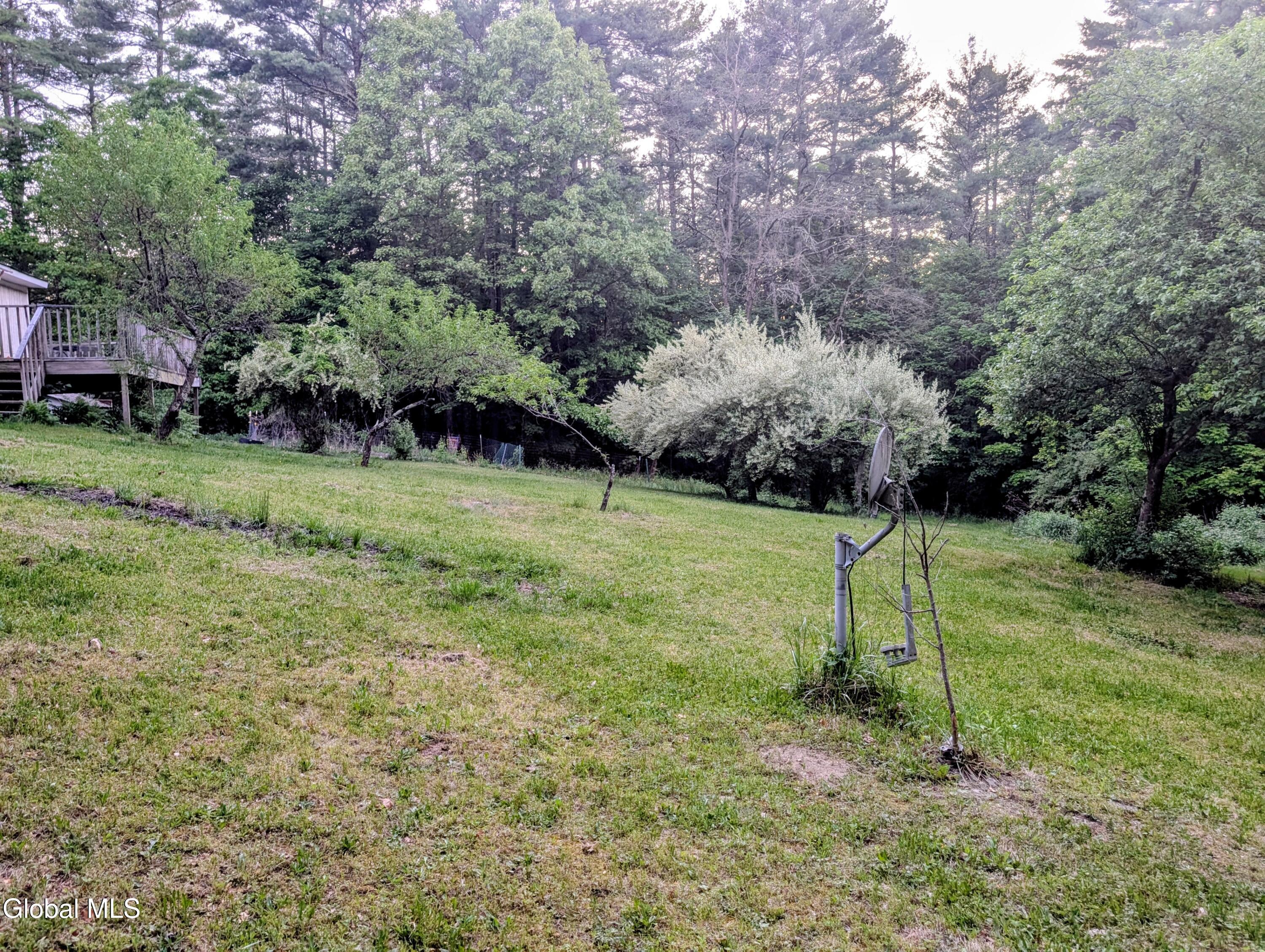 98 Primrose Lane Earlton NY 12058