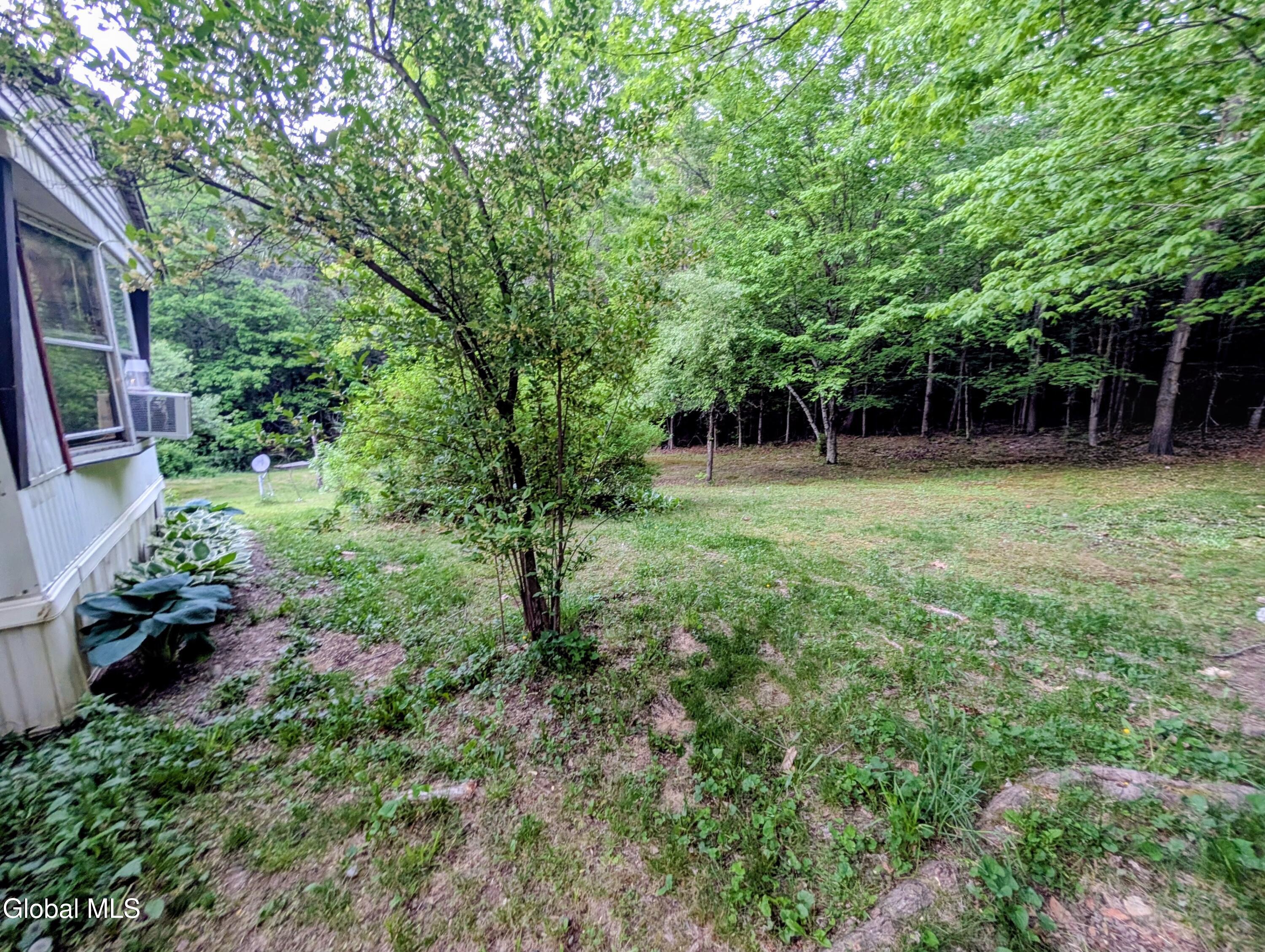 98 Primrose Lane Earlton NY 12058