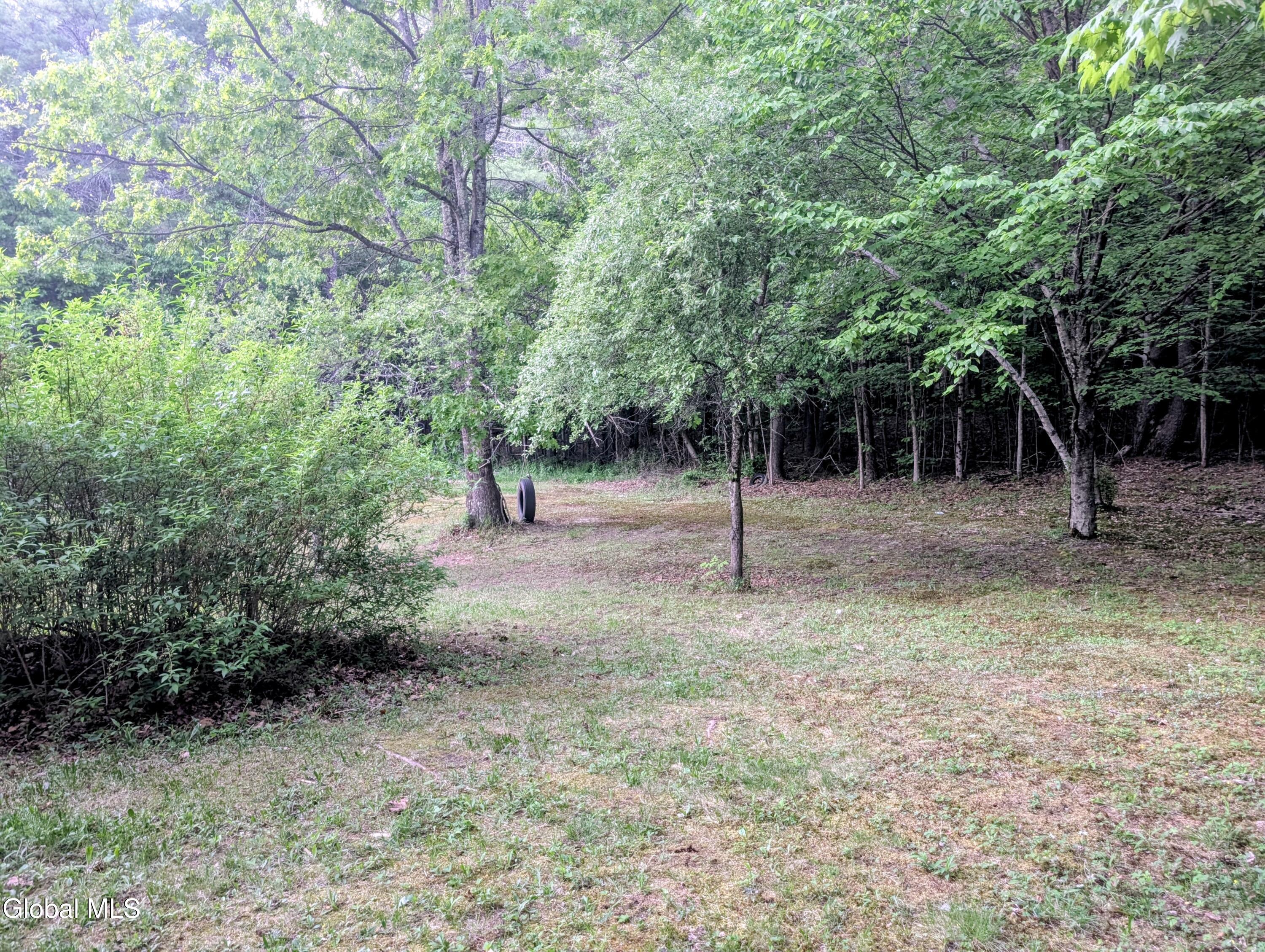 98 Primrose Lane Earlton NY 12058