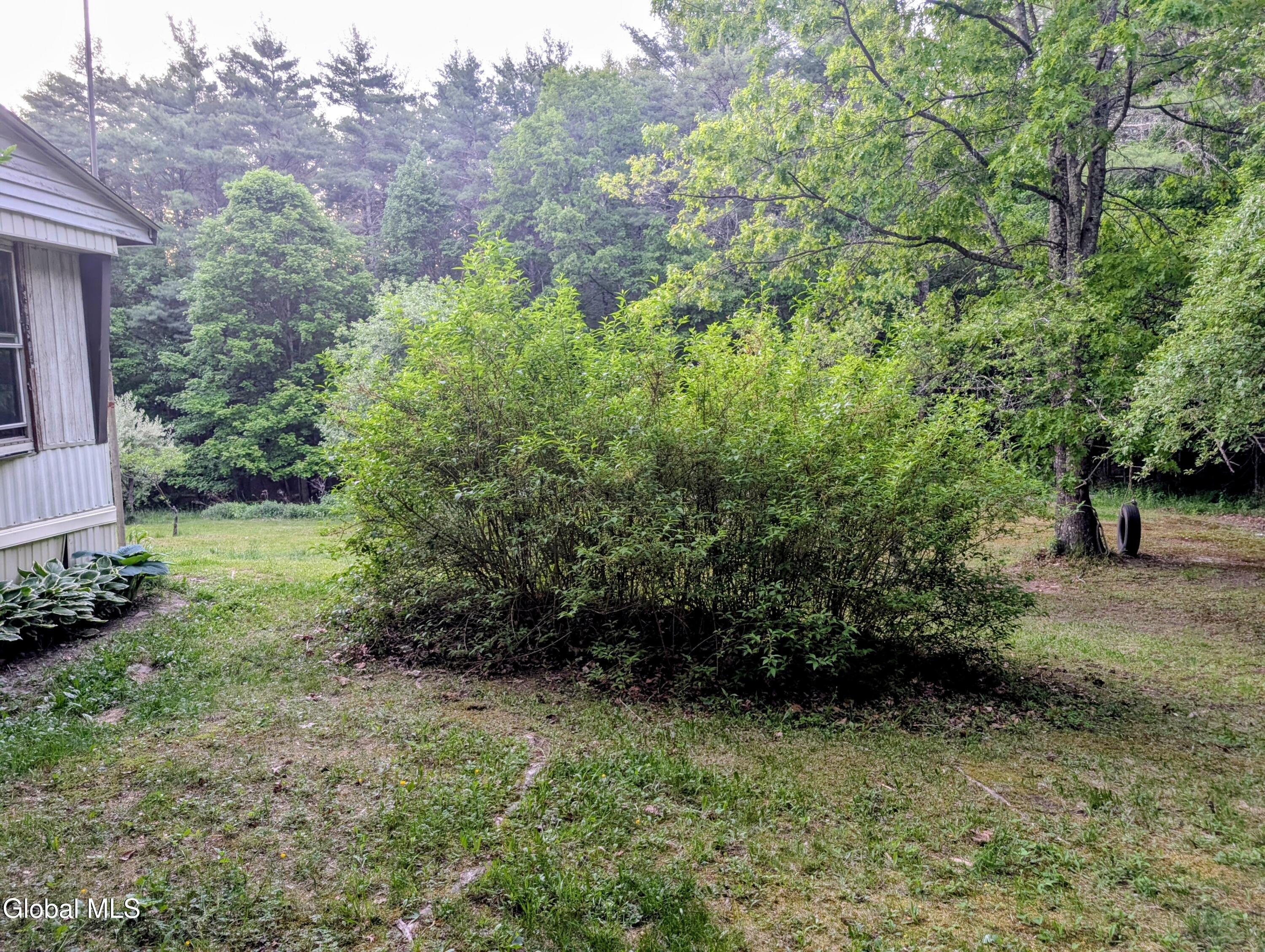 98 Primrose Lane Earlton NY 12058
