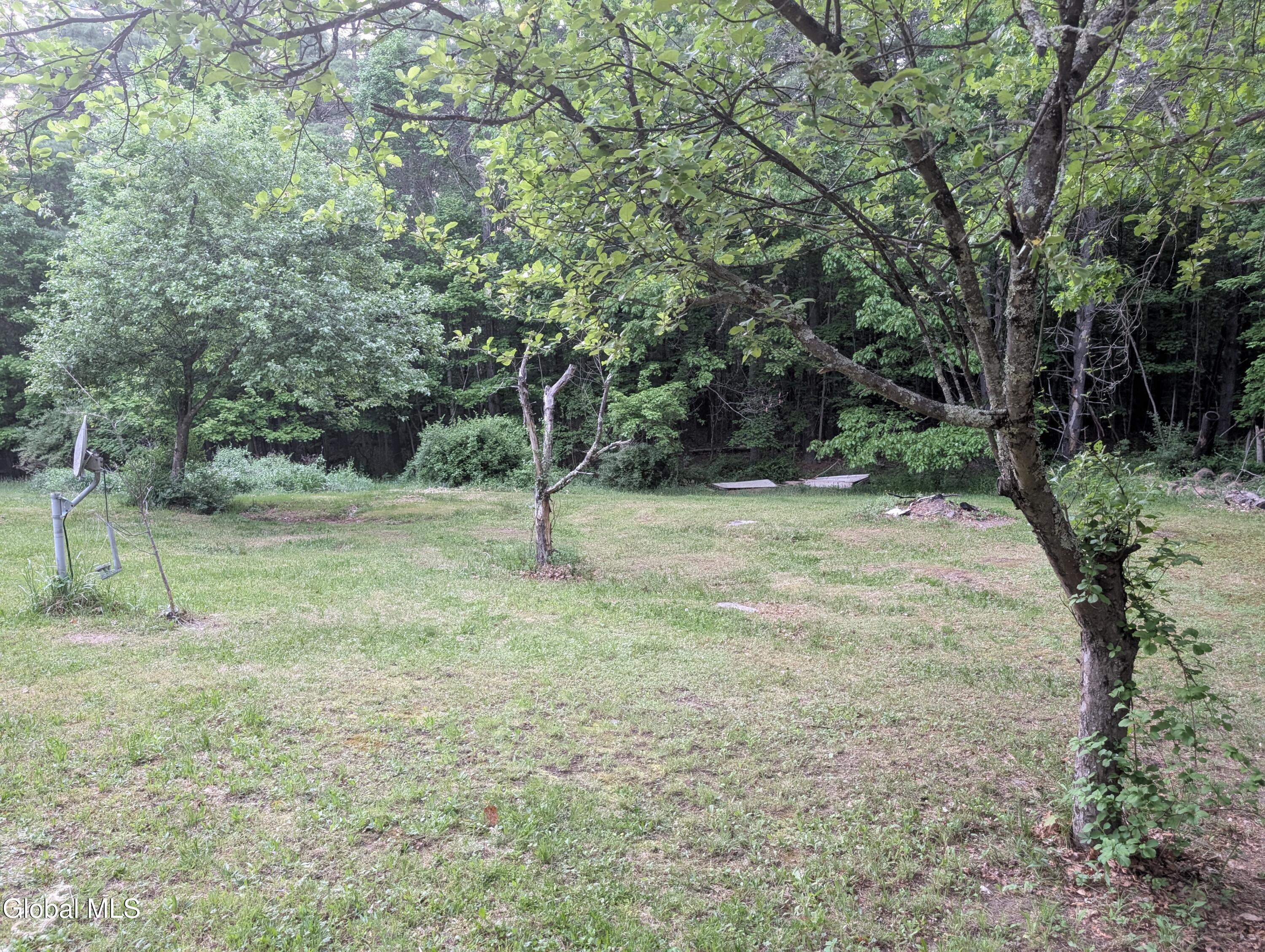 98 Primrose Lane Earlton NY 12058