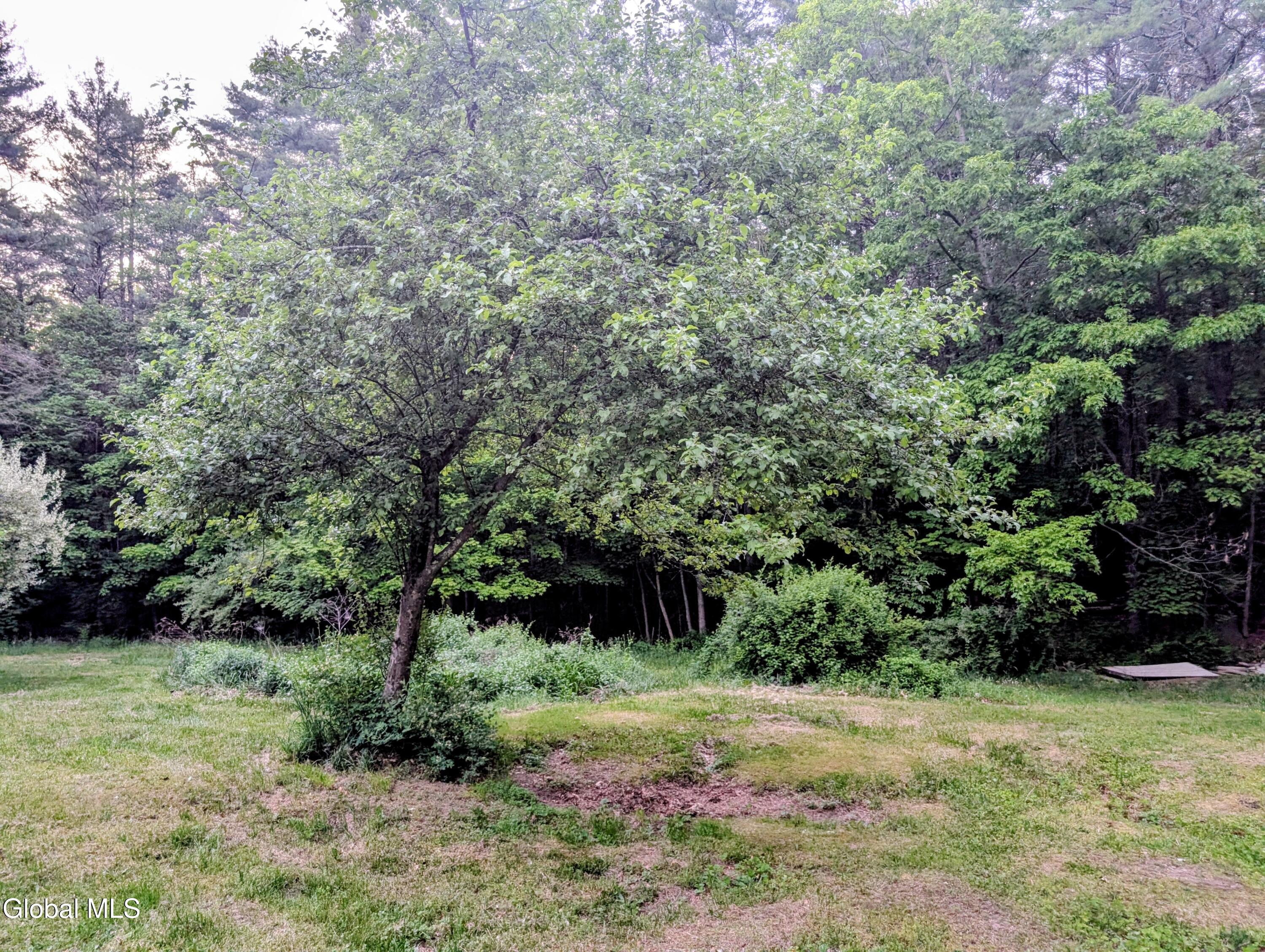 98 Primrose Lane Earlton NY 12058