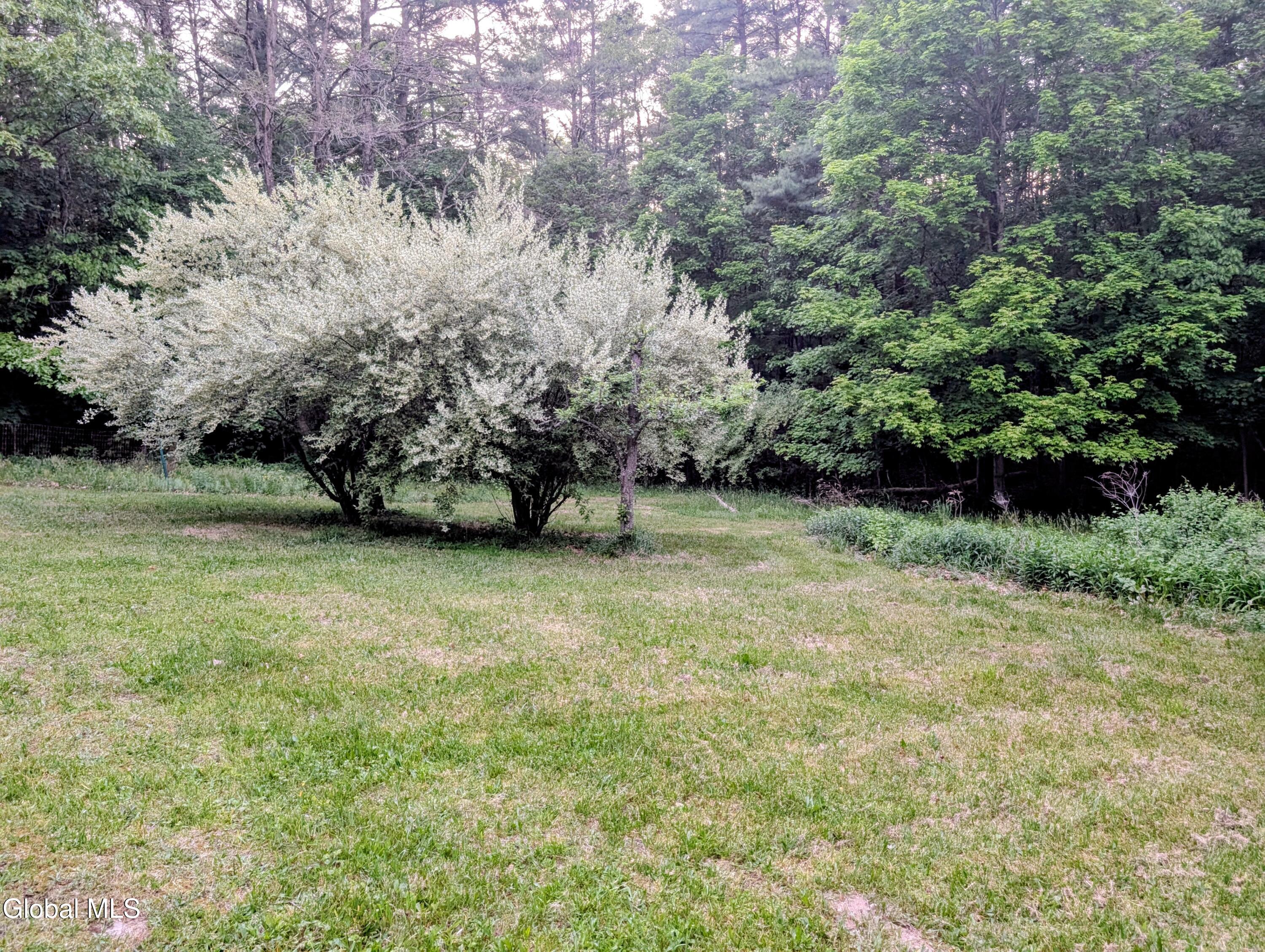 98 Primrose Lane Earlton NY 12058