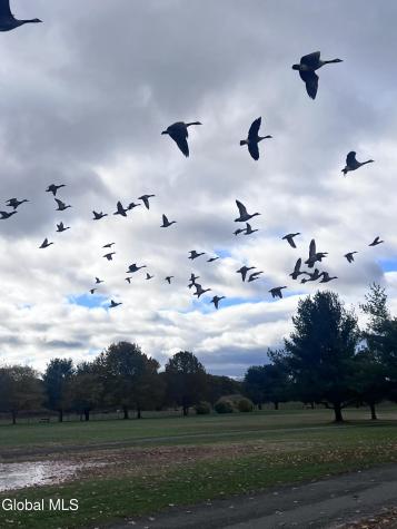 563 Albany Shaker Road Colonie NY 12211