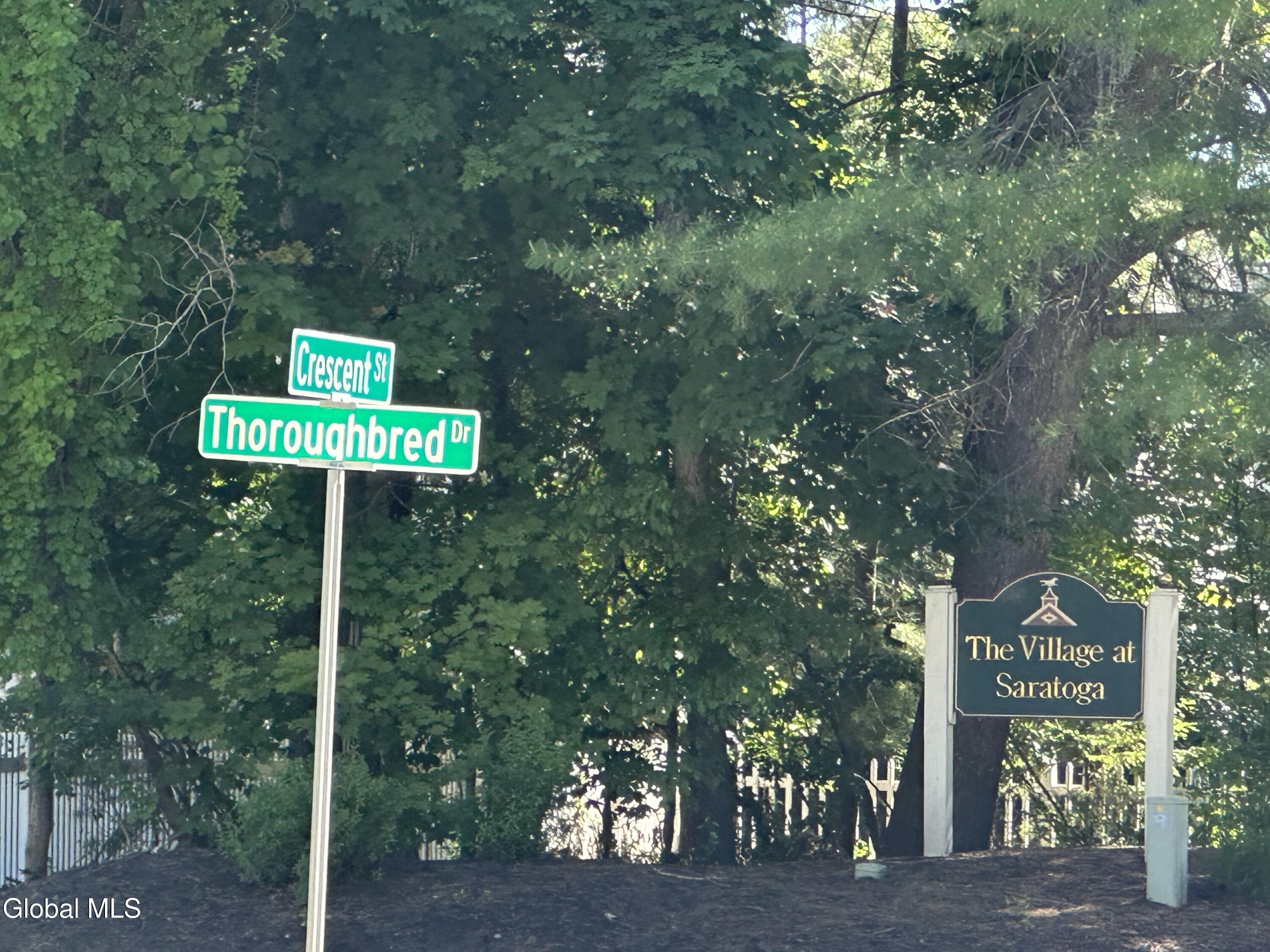11 Thoroughbred Drive Saratoga Springs NY 12866