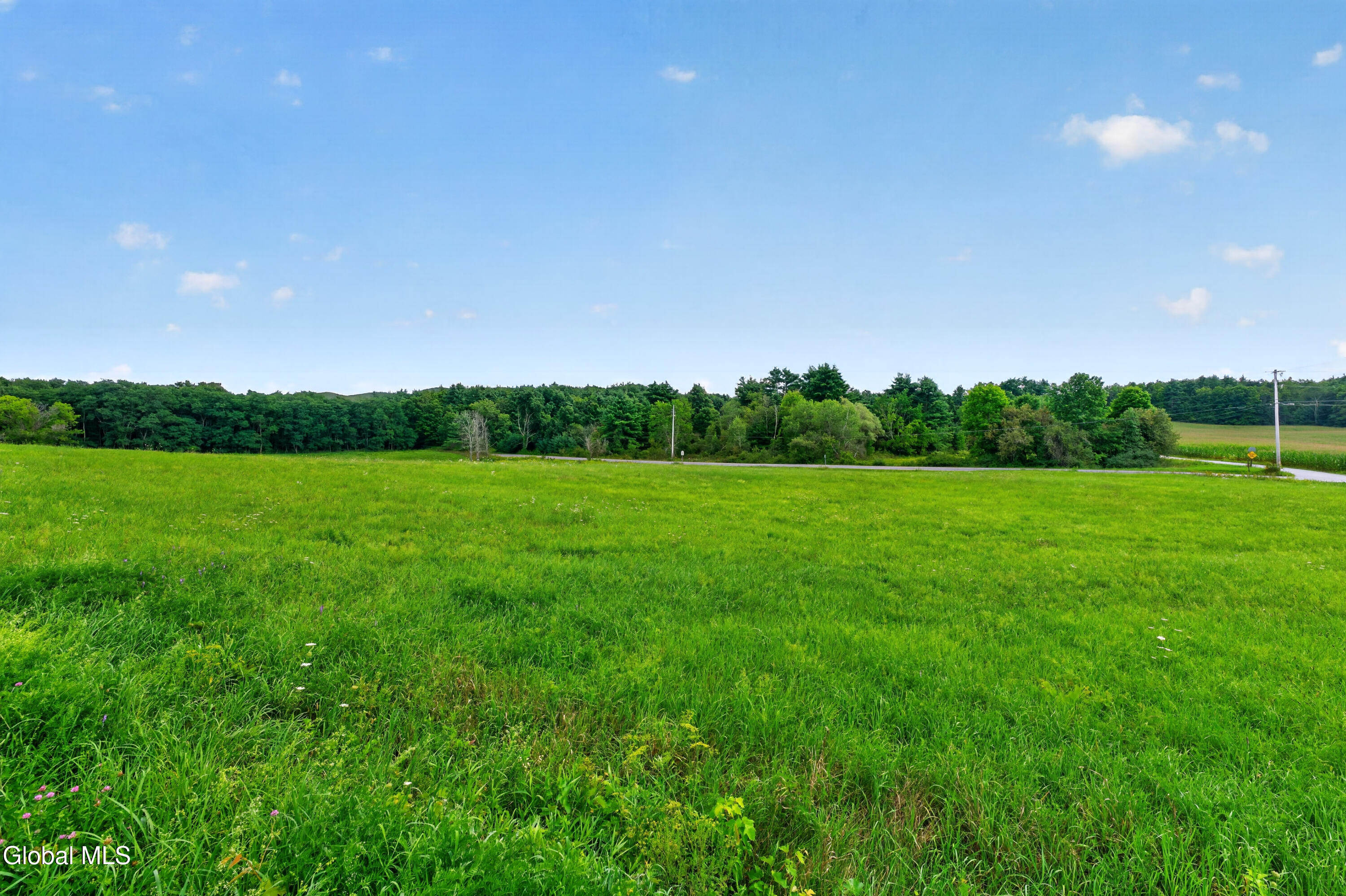 97 Newman Road Shushan NY 12873