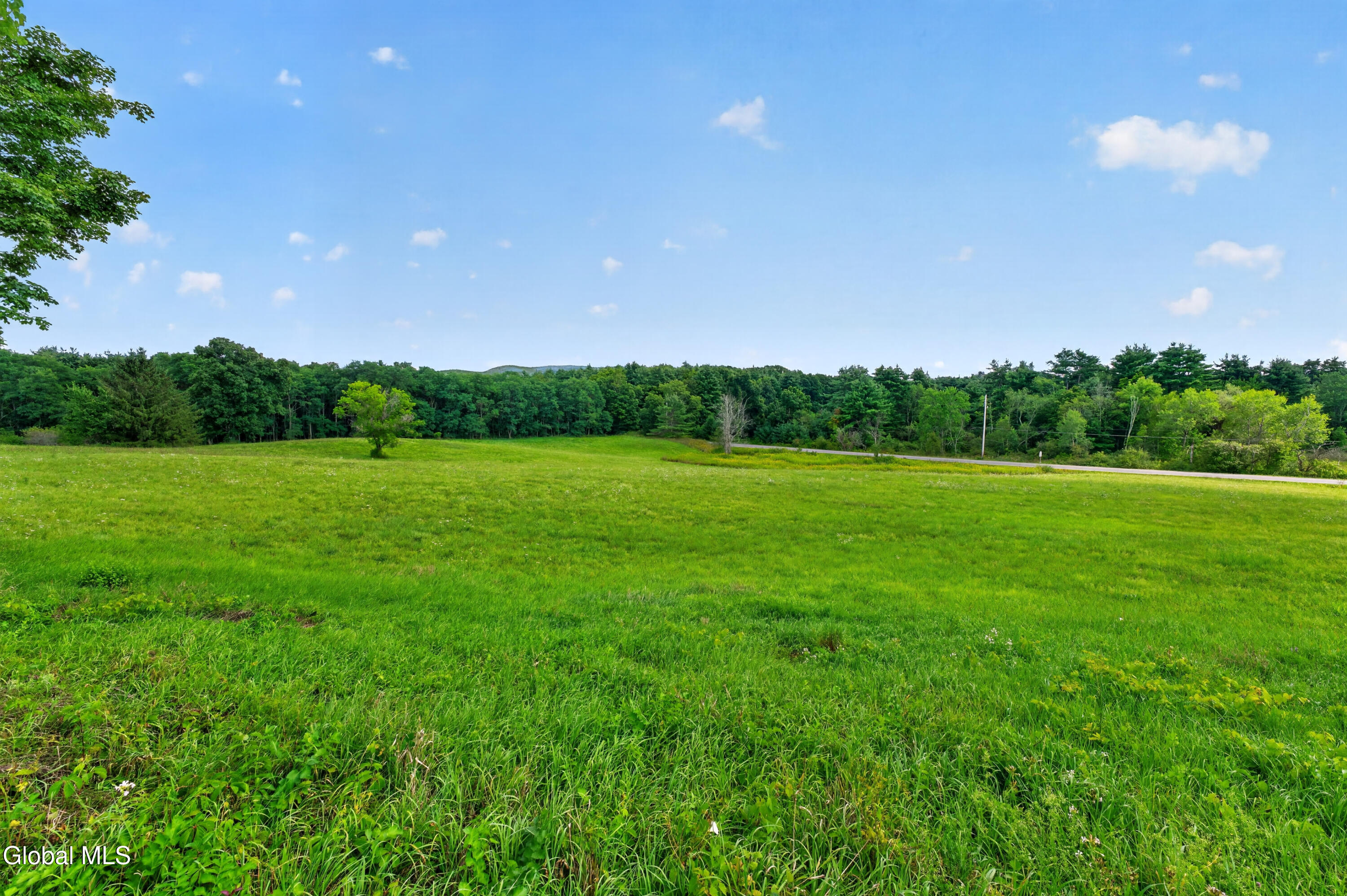 97 Newman Road Shushan NY 12873