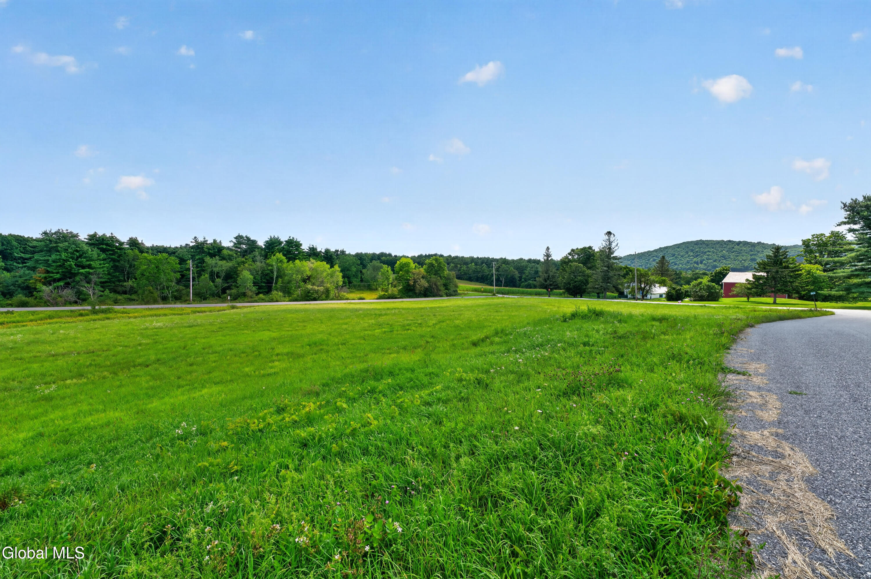 97 Newman Road Shushan NY 12873