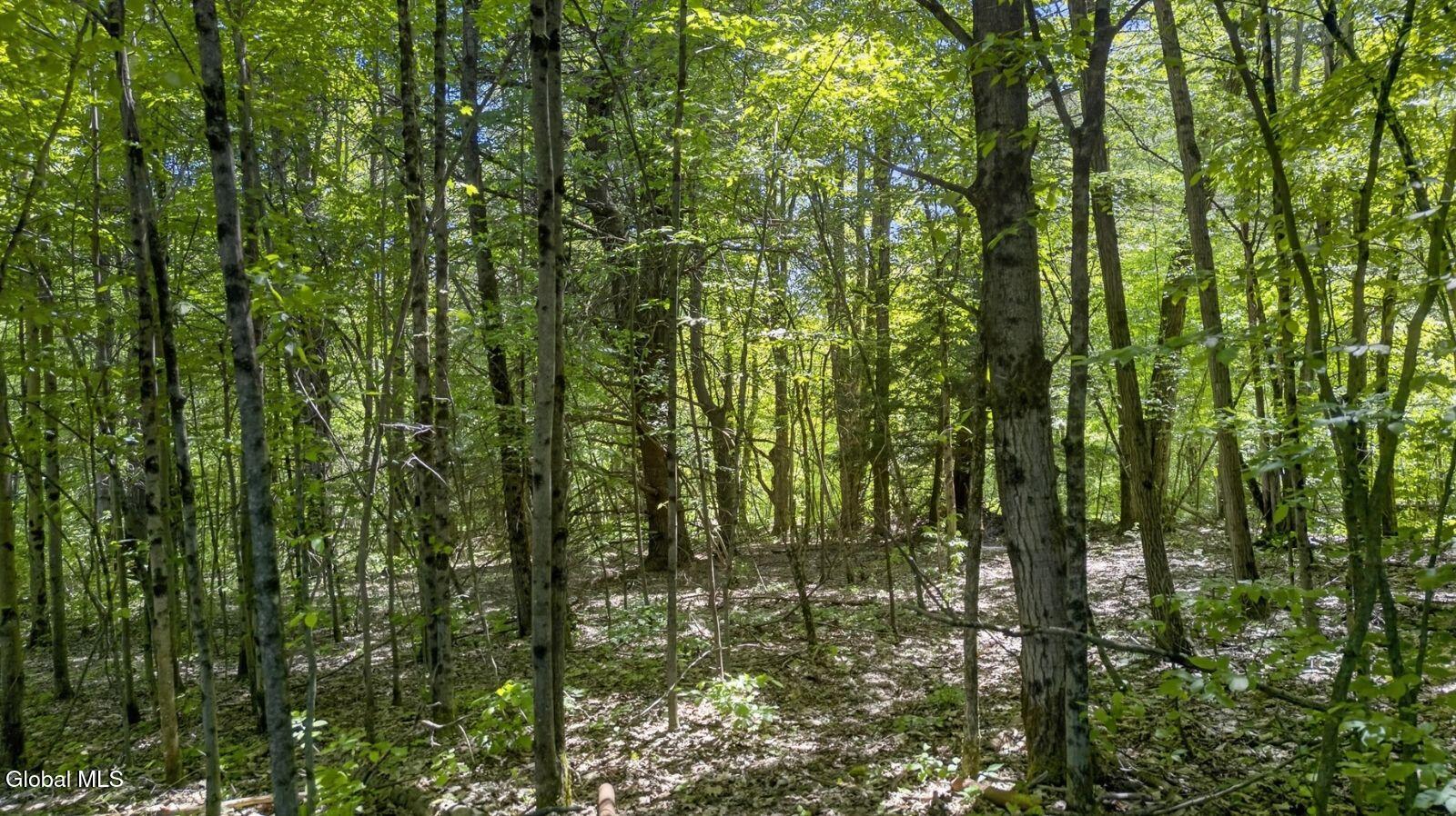 55 Yarns Road Harpursville NY 13787