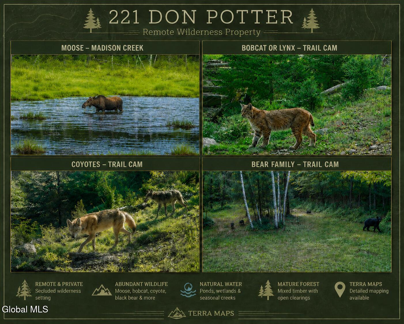 221 Don Potter Road Athol NY 12810