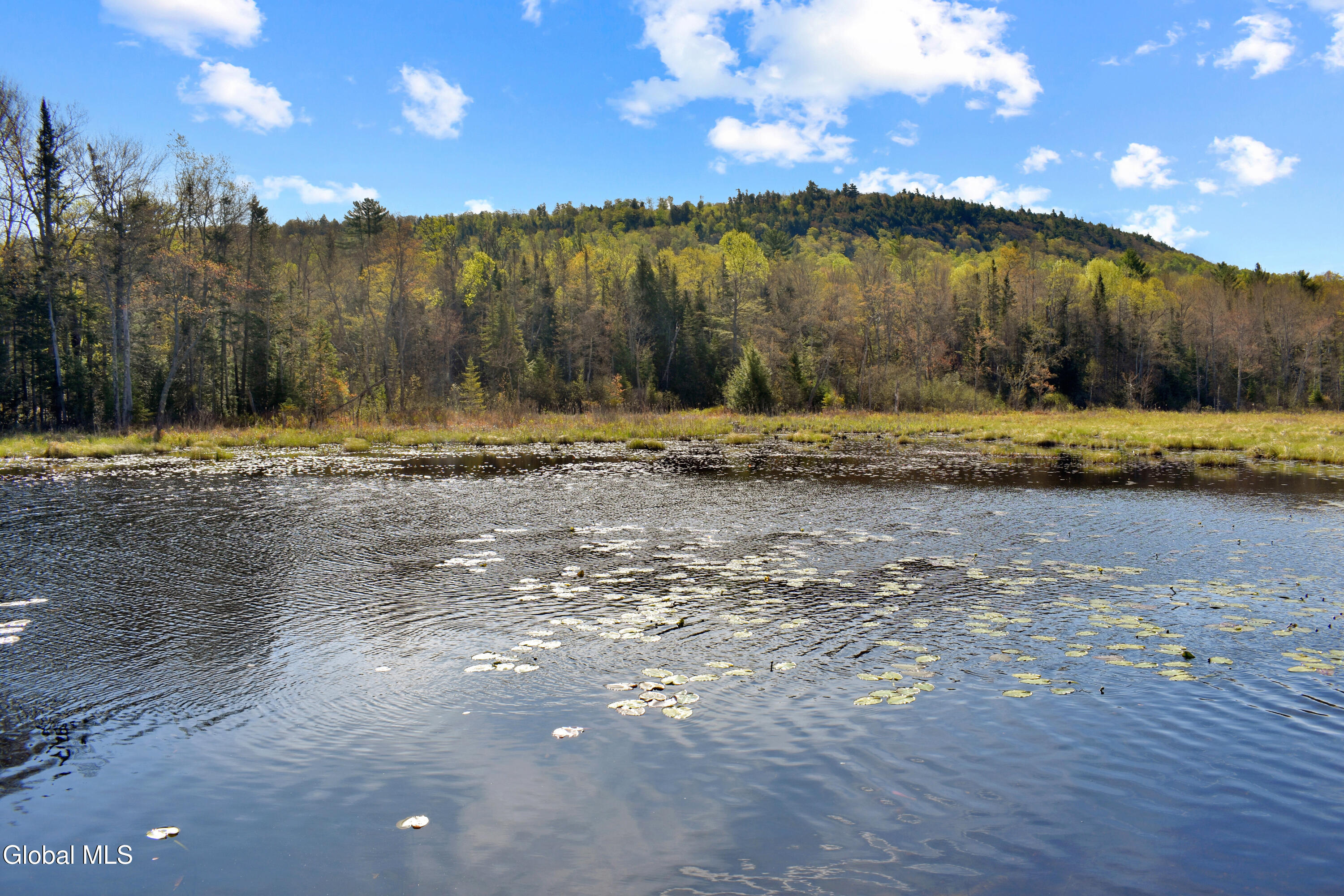 221 Don Potter Road Athol NY 12810