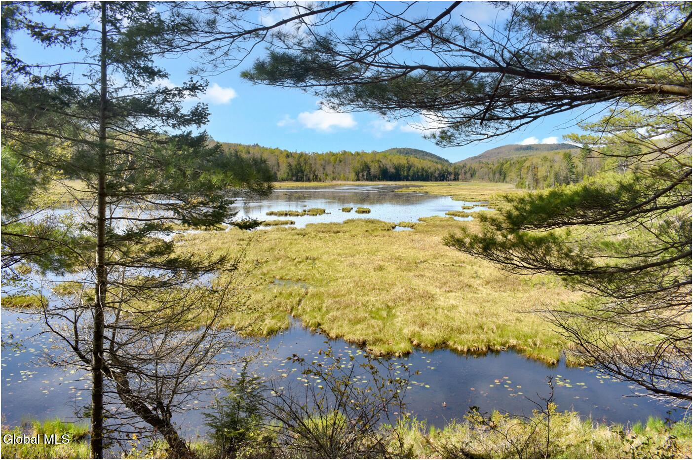 221 Don Potter Road Athol NY 12810