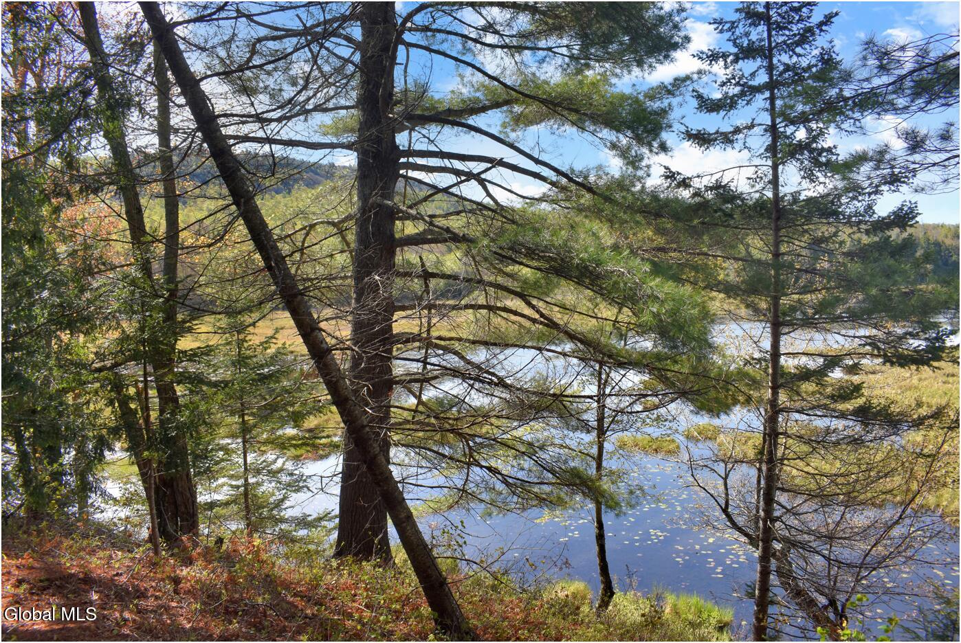 221 Don Potter Road Athol NY 12810