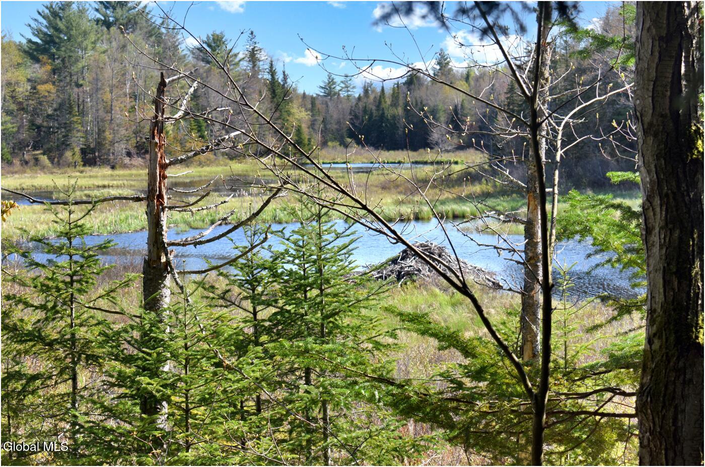 221 Don Potter Road Athol NY 12810