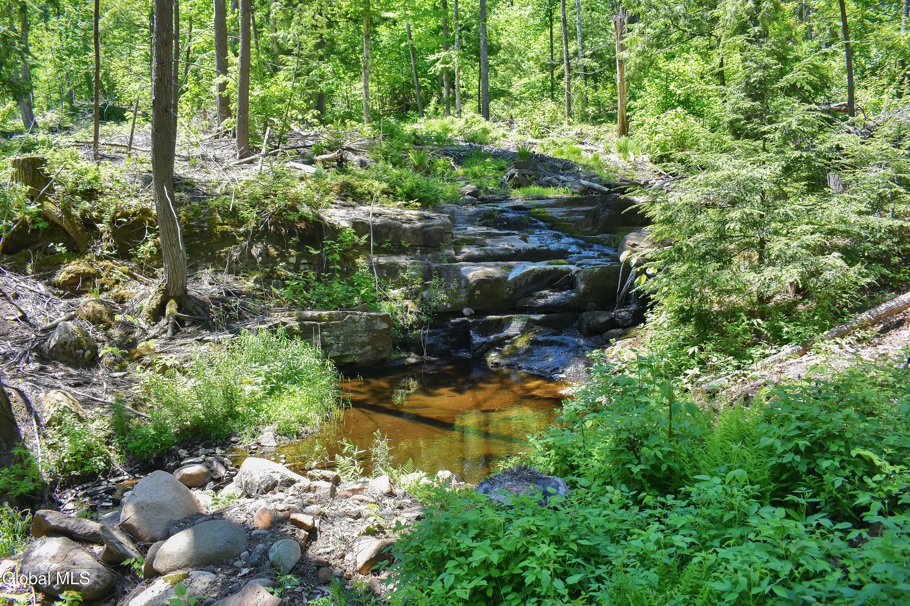 221 Don Potter Road Athol NY 12810