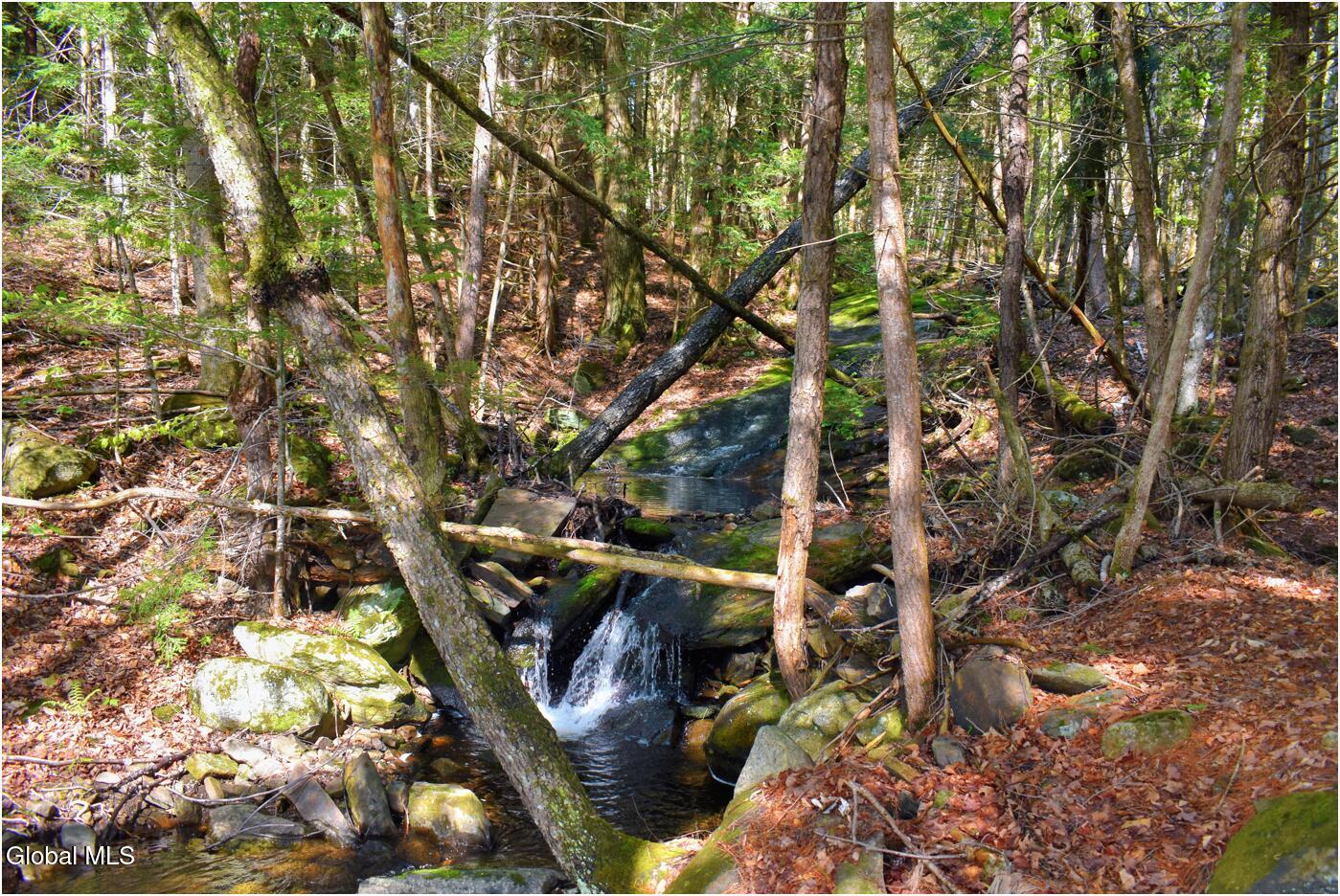 221 Don Potter Road Athol NY 12810