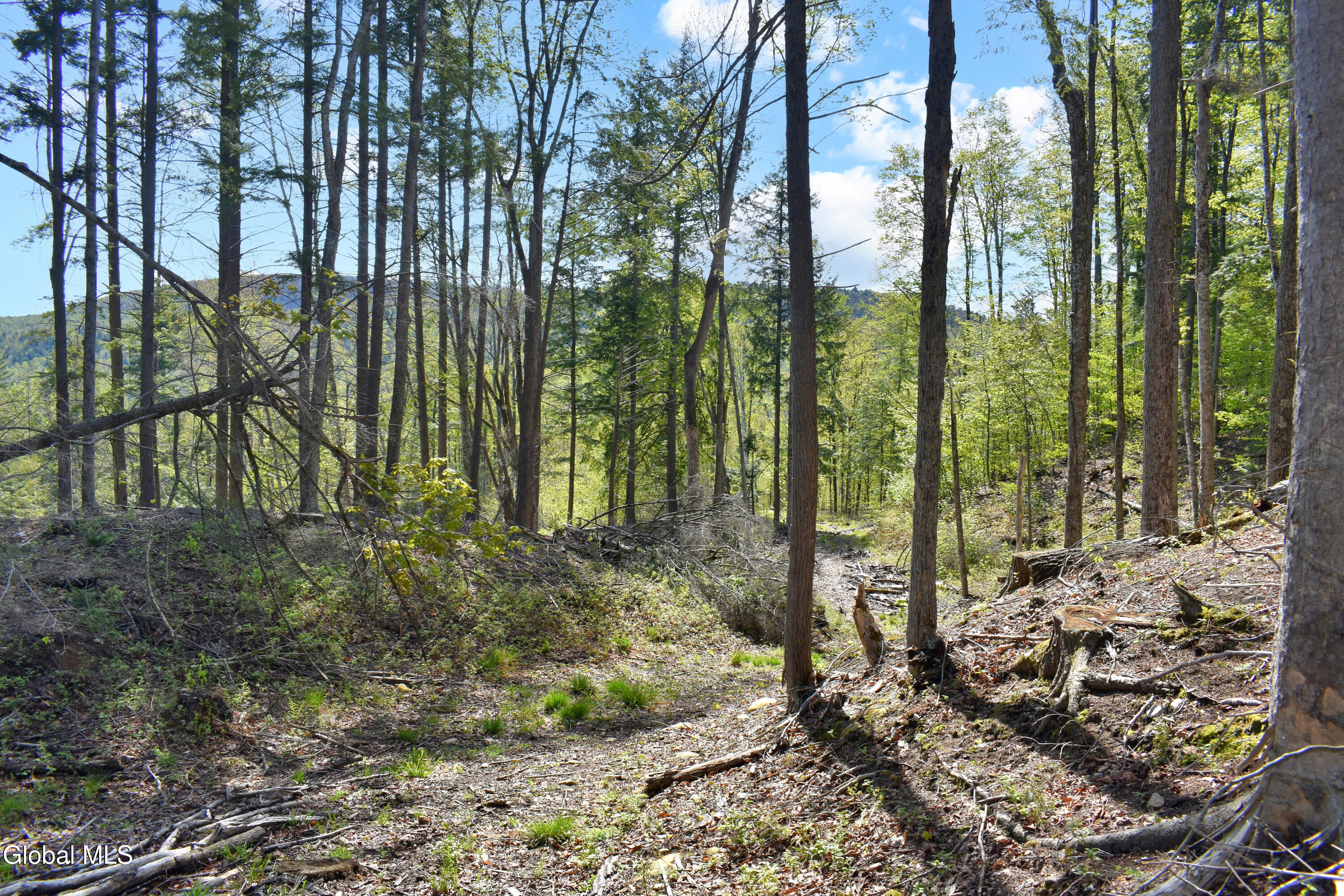 221 Don Potter Road Athol NY 12810