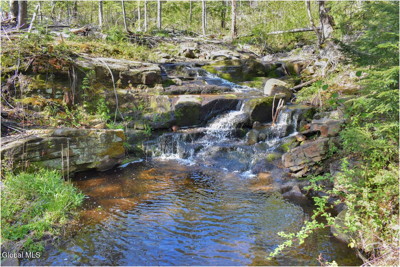 221 Don Potter Road Athol NY 12810