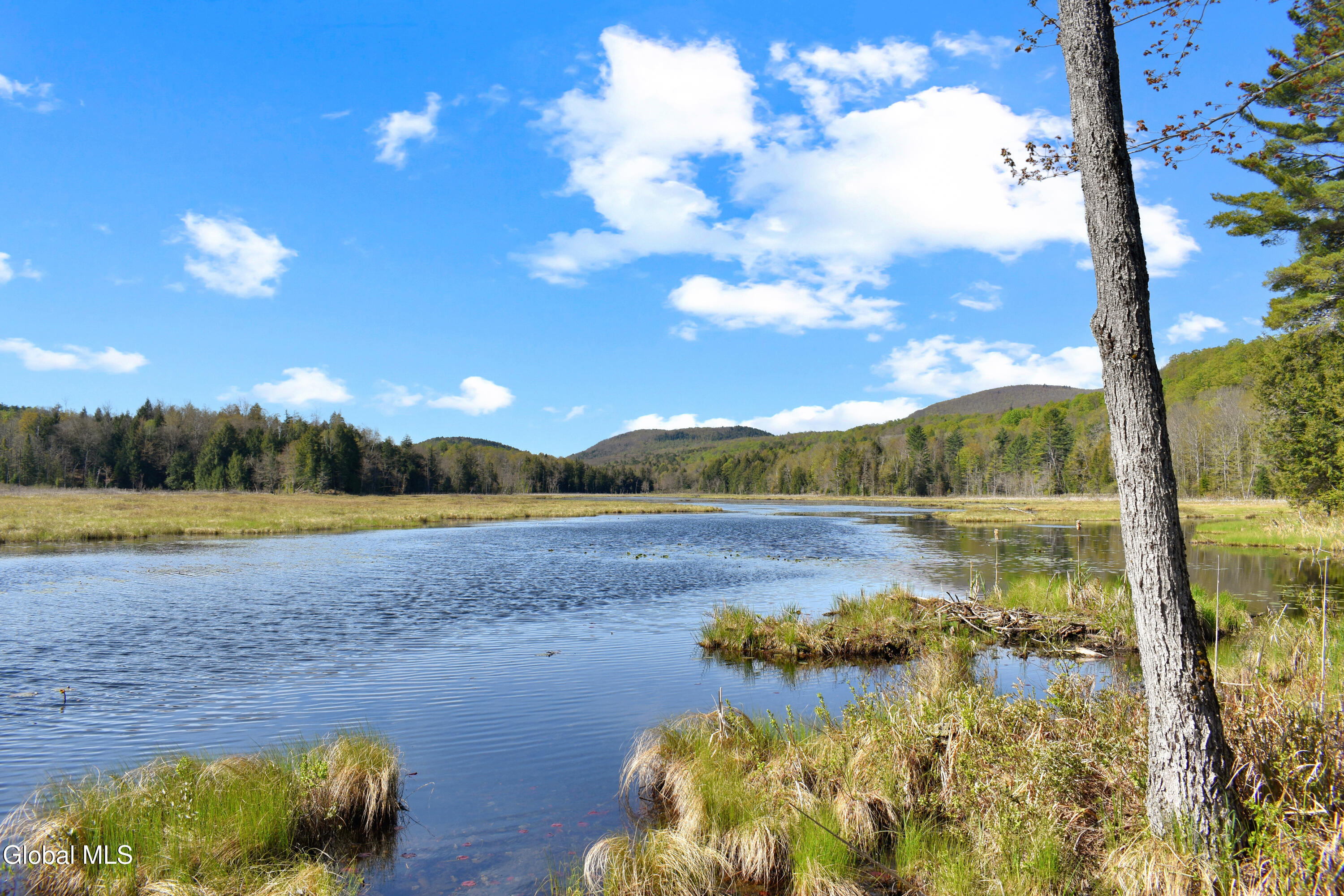 221 Don Potter Road Athol NY 12810