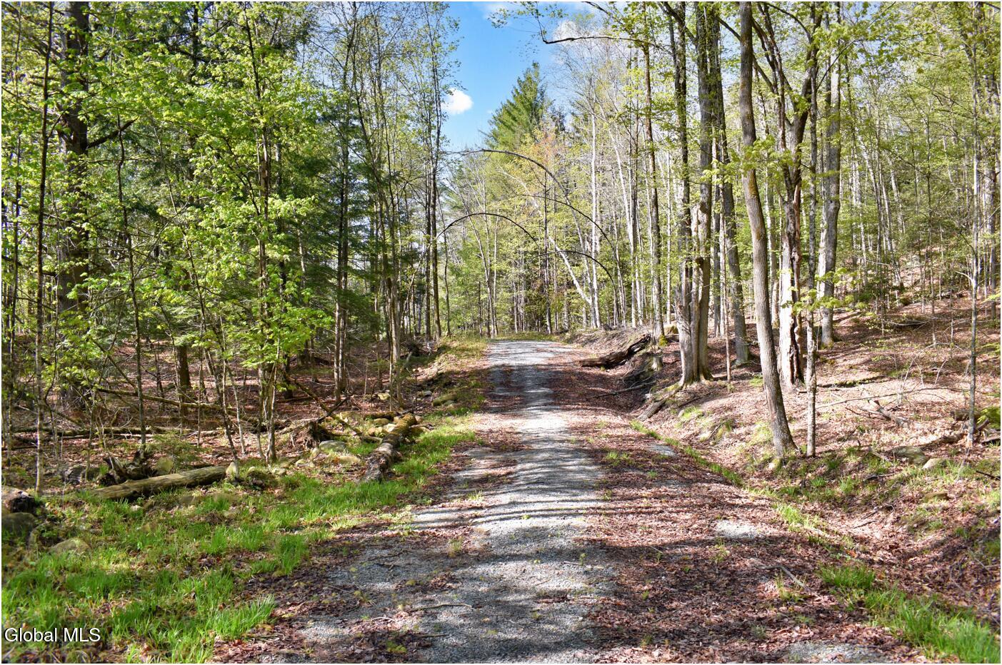 221 Don Potter Road Athol NY 12810