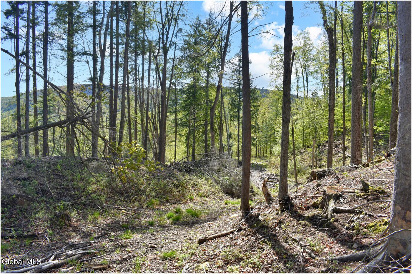 221 Don Potter Road Athol NY 12810
