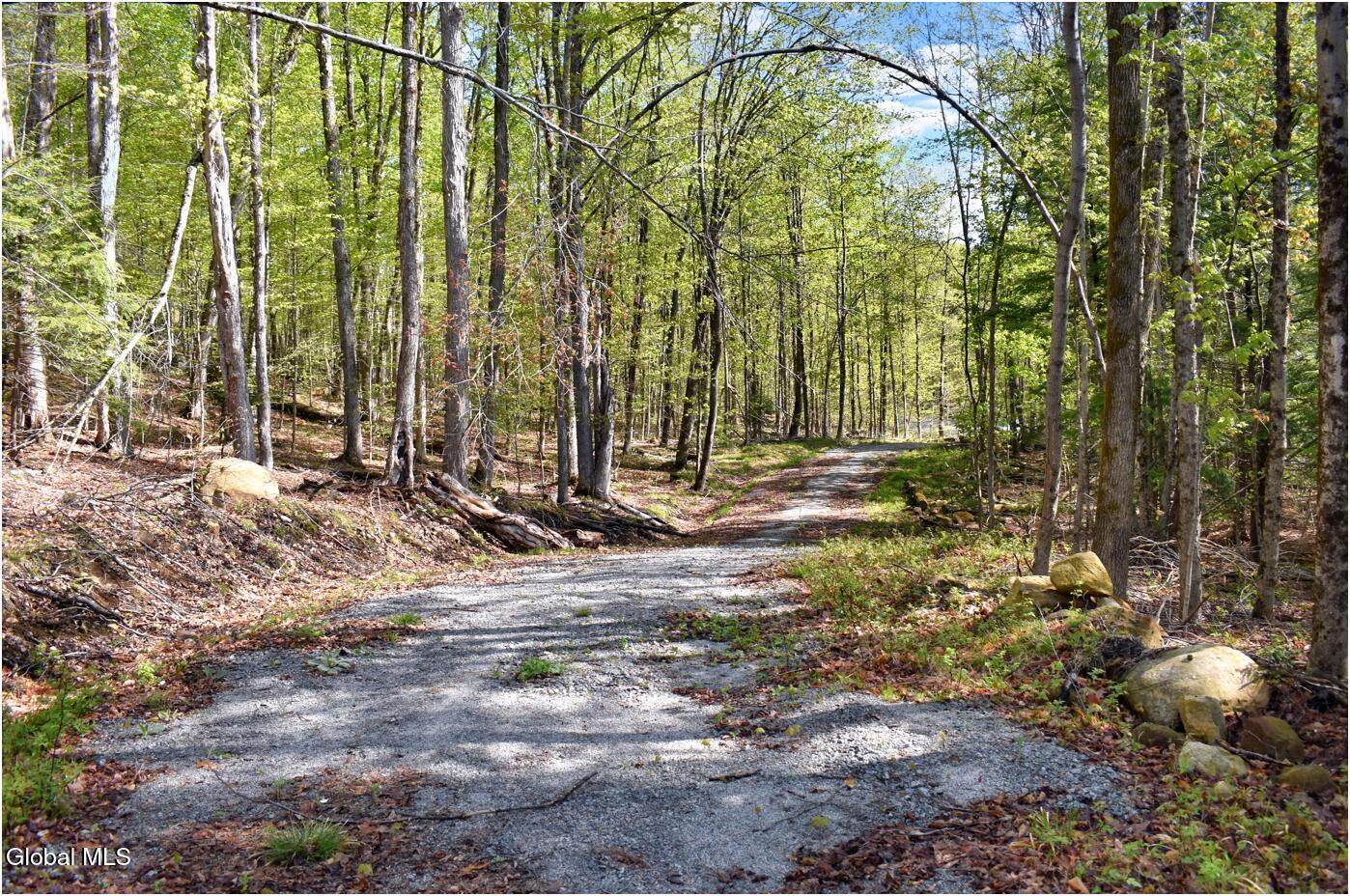 221 Don Potter Road Athol NY 12810