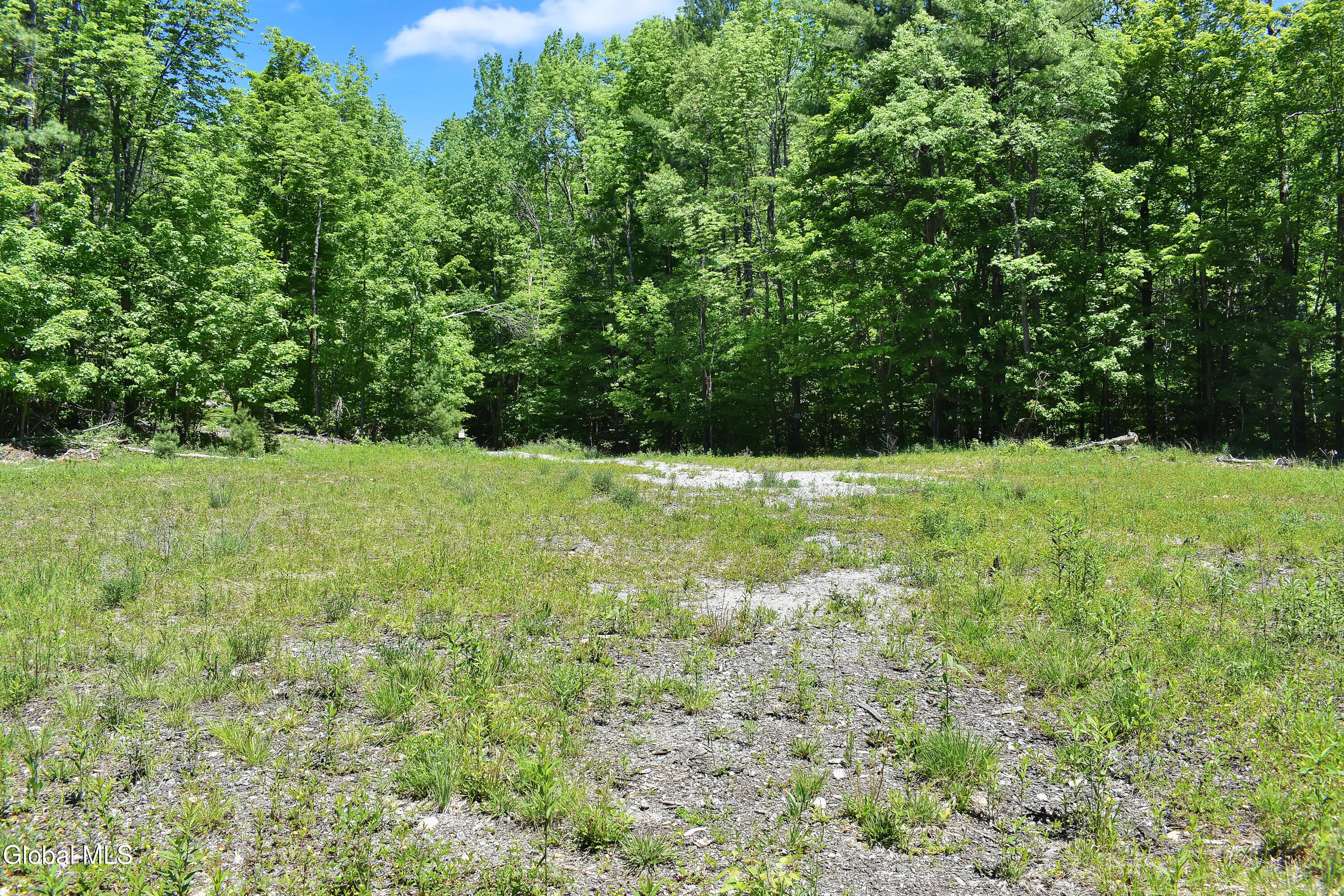 221 Don Potter Road Athol NY 12810