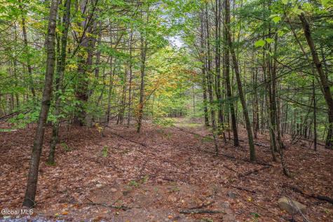 102 Co Road 10 Corinth NY 12822