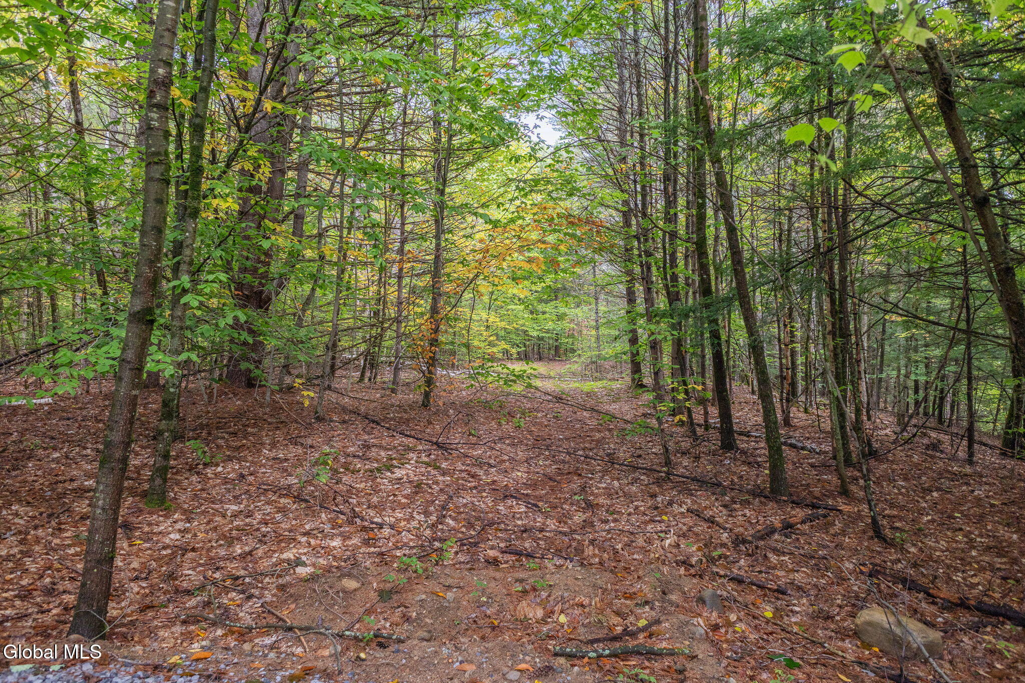 102 Co Road 10 Corinth NY 12822