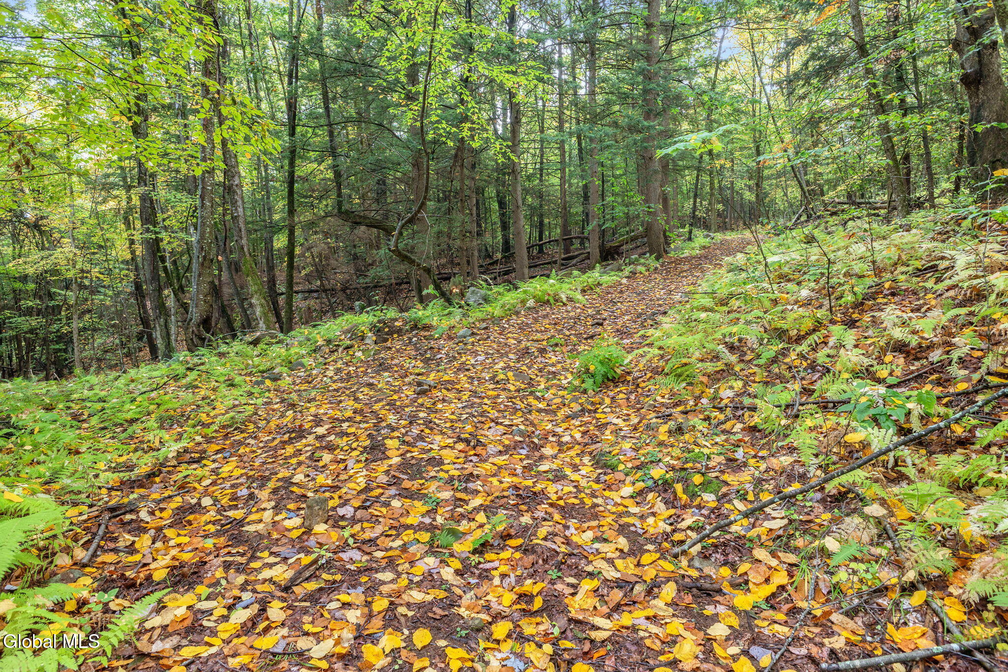 102 Co Road 10 Corinth NY 12822