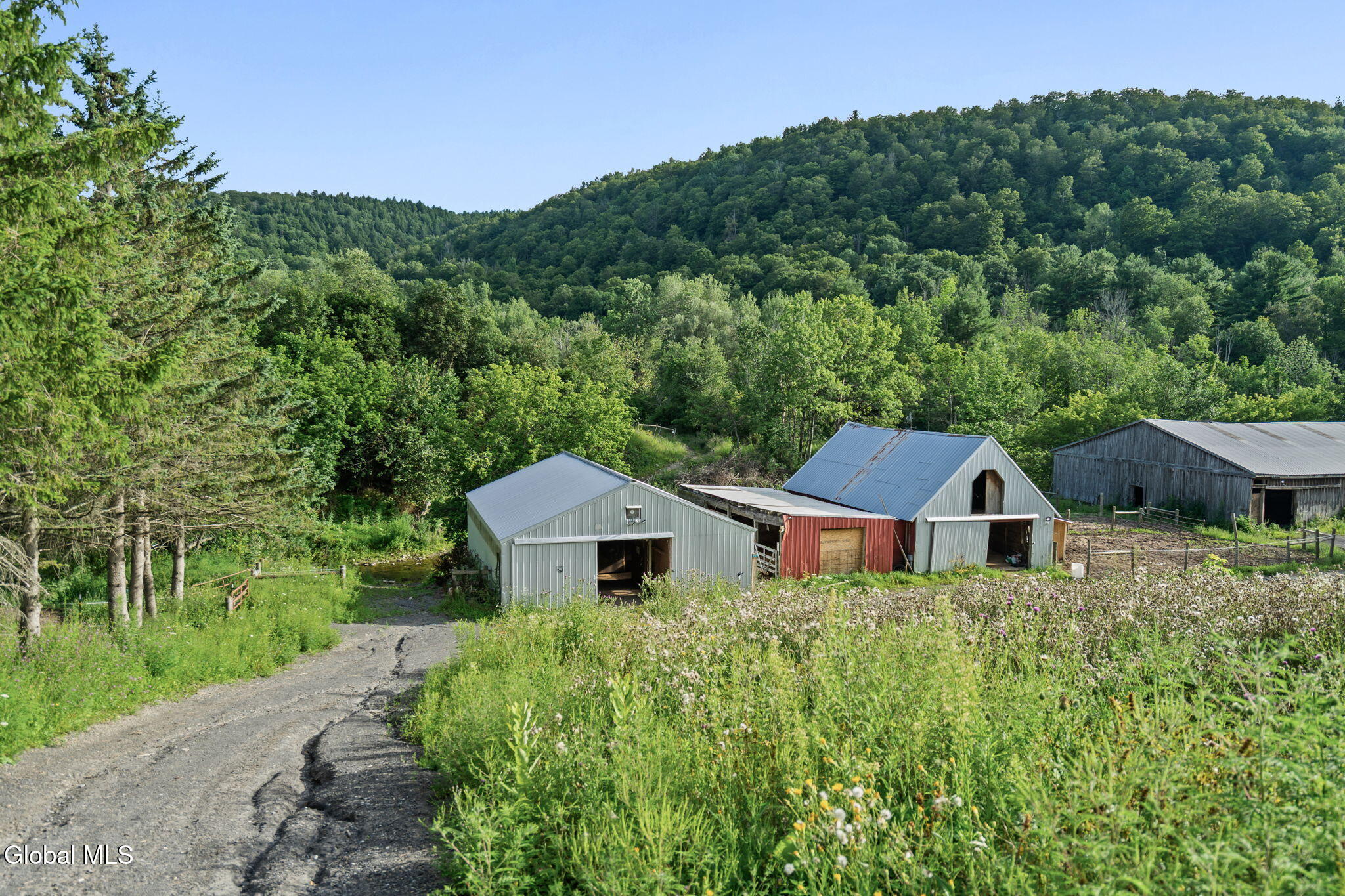 45 Main Street East Berne NY 12059